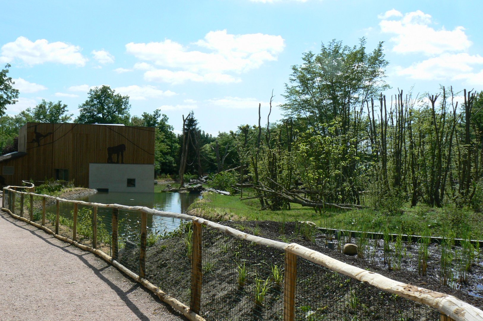 Le Pal - Common chimpanzees exhibit
