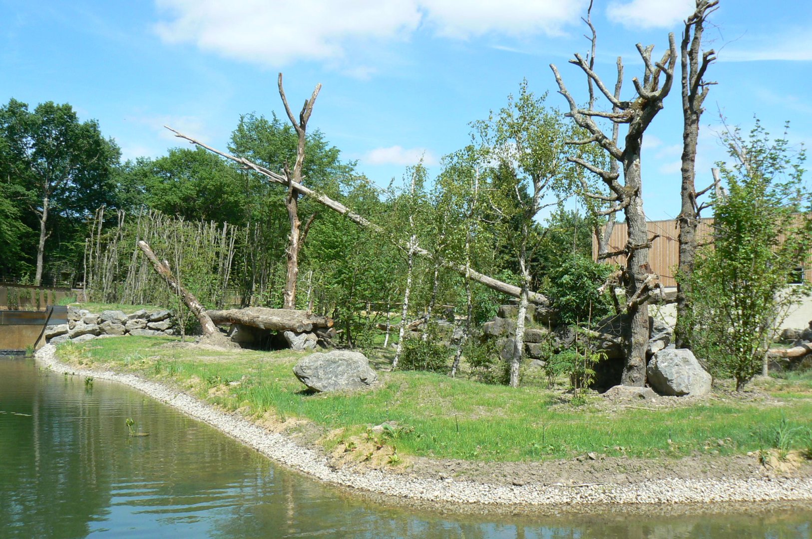 Le Pal - Common chimpanzees exhibit