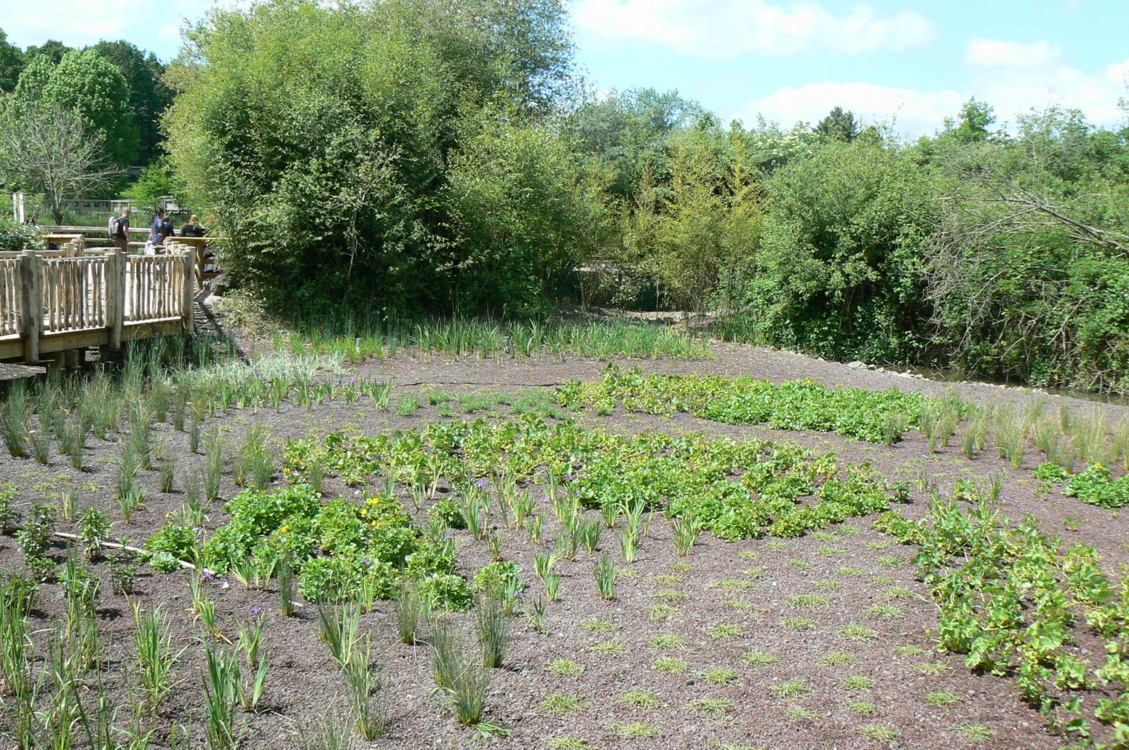 Le Pal - Common hippo eco-friendly filter system