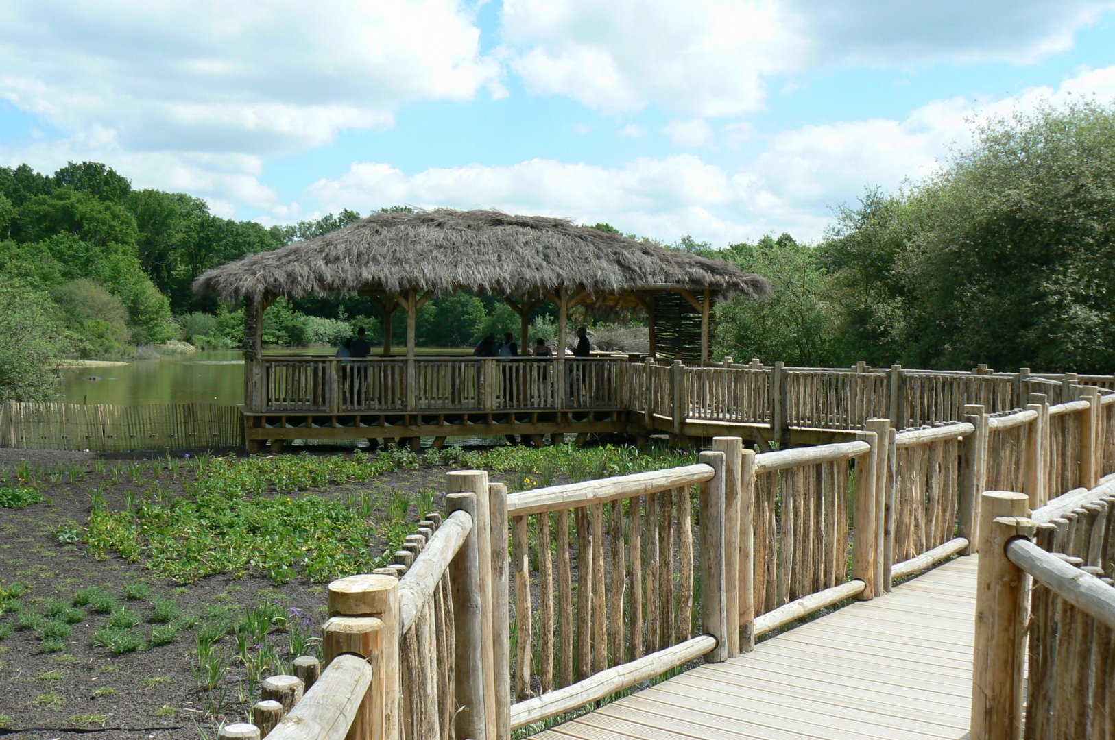Le Pal - Common hippos lake viewing plateform