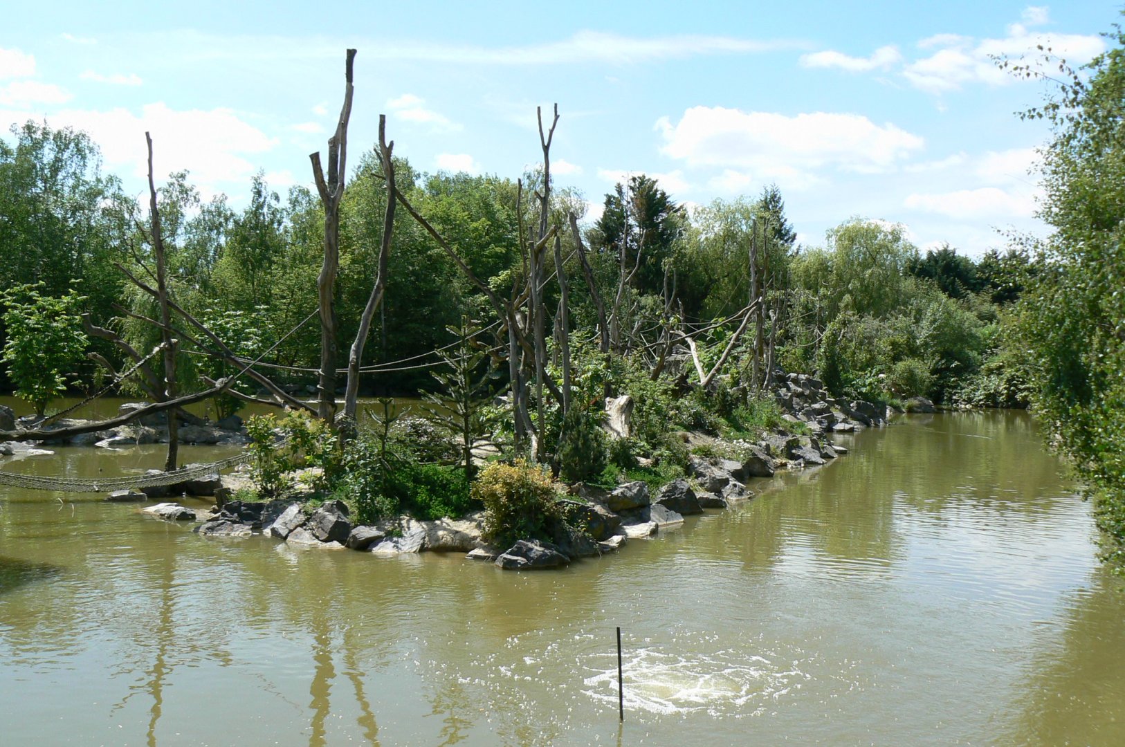 Le Pal - Common squirrel monkeys and yellow-breasted capuchins island