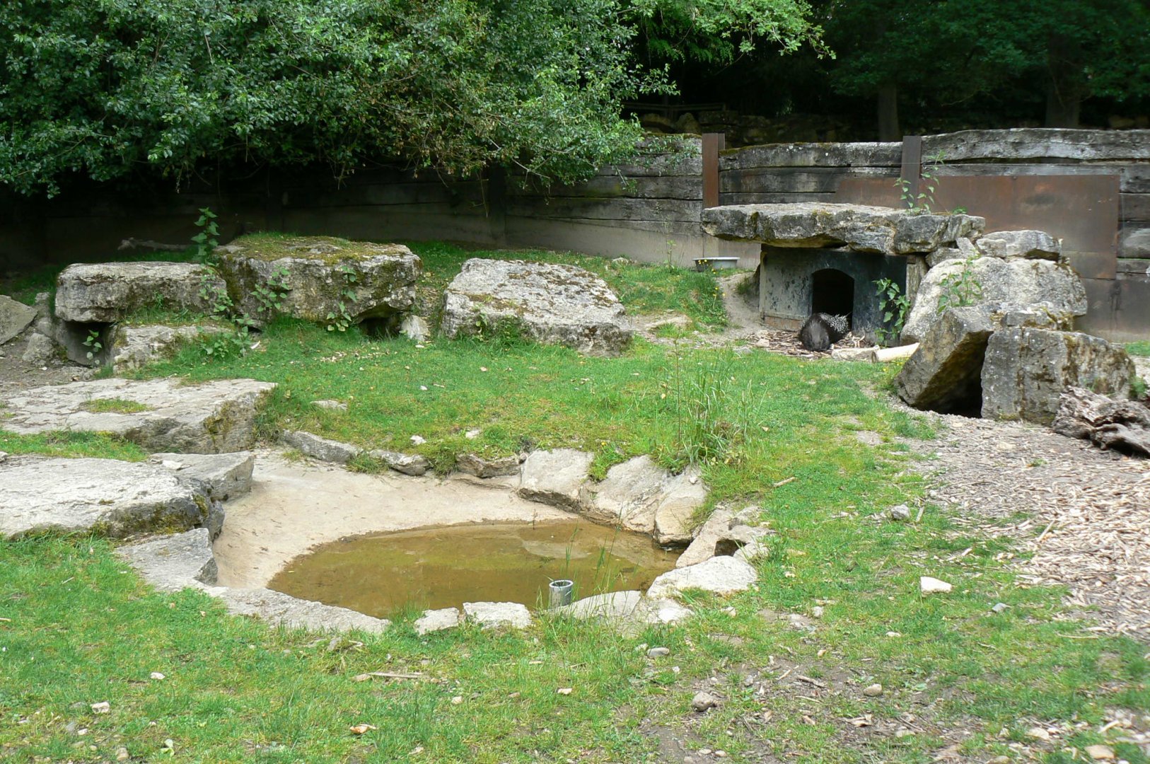 Le Pal - Crested porcupines exhibit