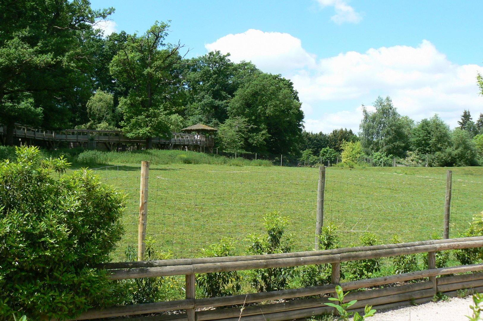 Le Pal - Deers woods