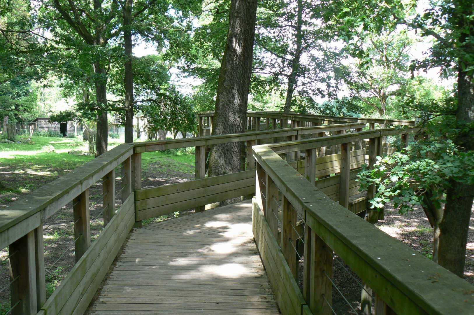 Le Pal - Deers woods