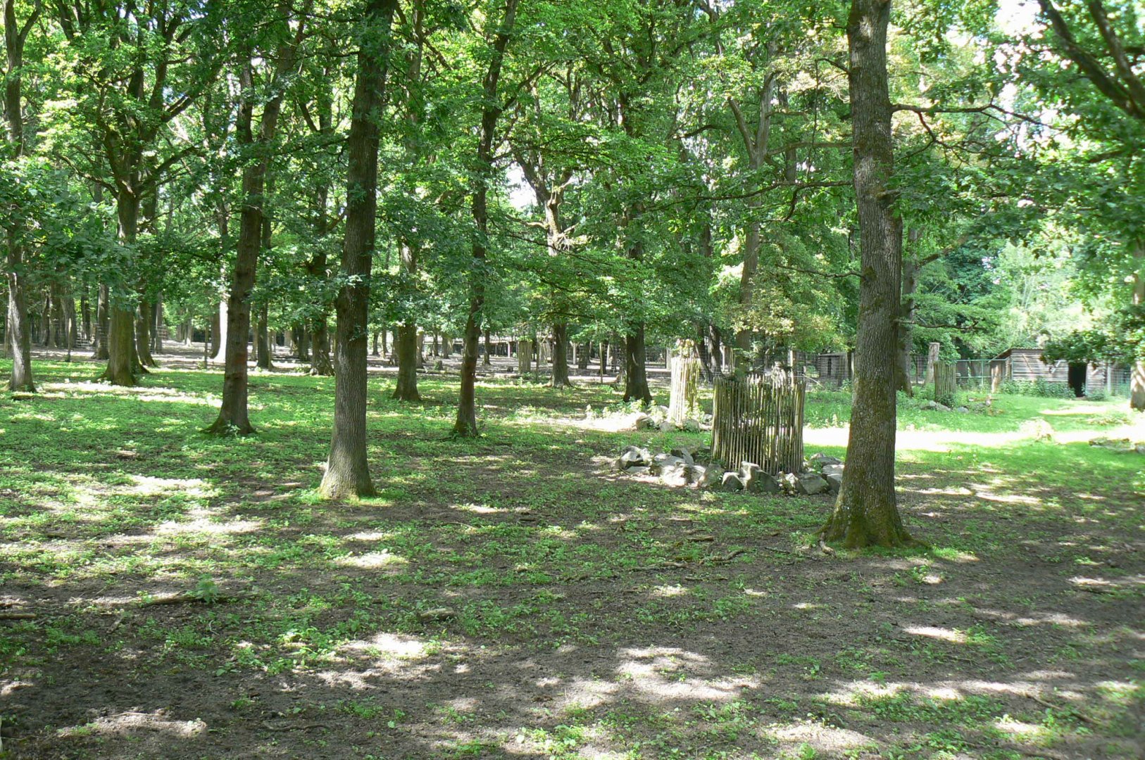 Le Pal - Deers woods