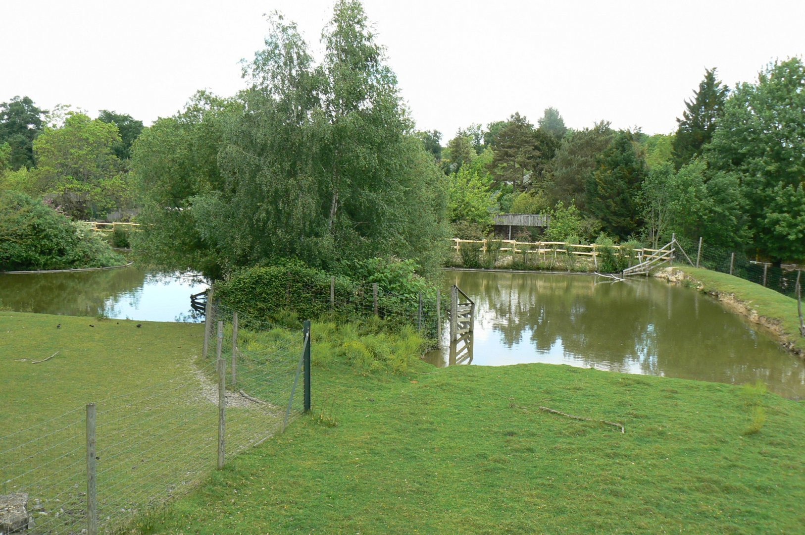 Le Pal - Deers woods