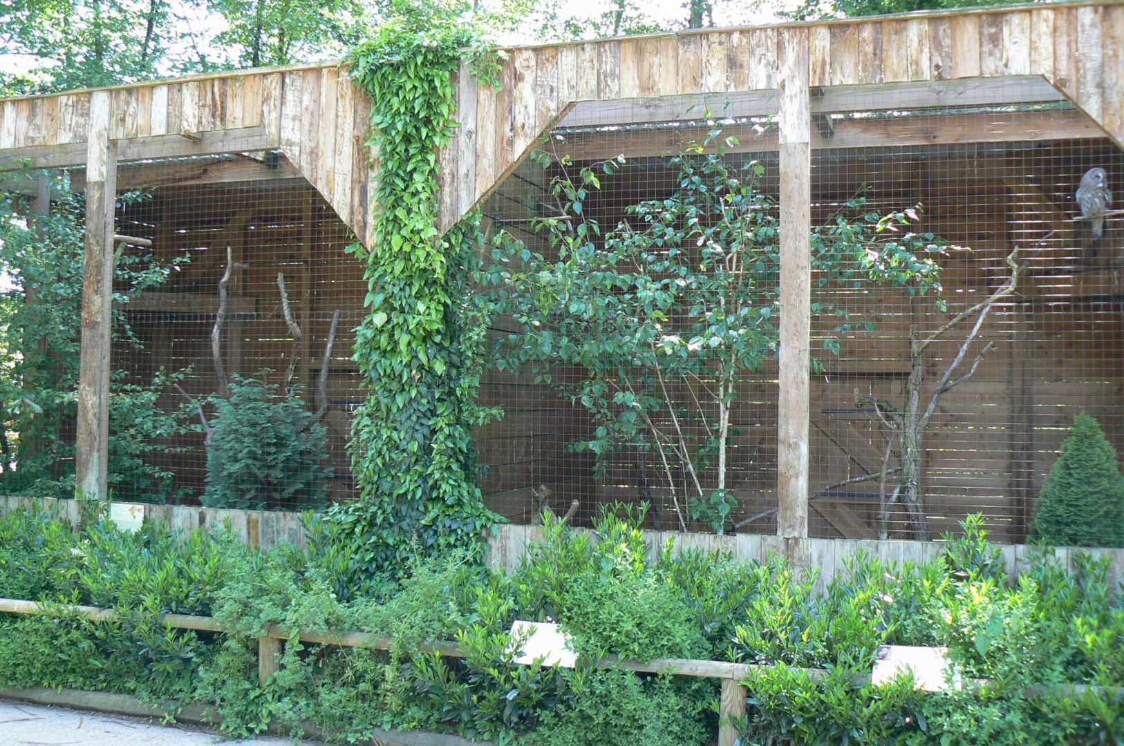 Le Pal - Eurasian northen hawk-owls and eurasian great grey owls aviaries