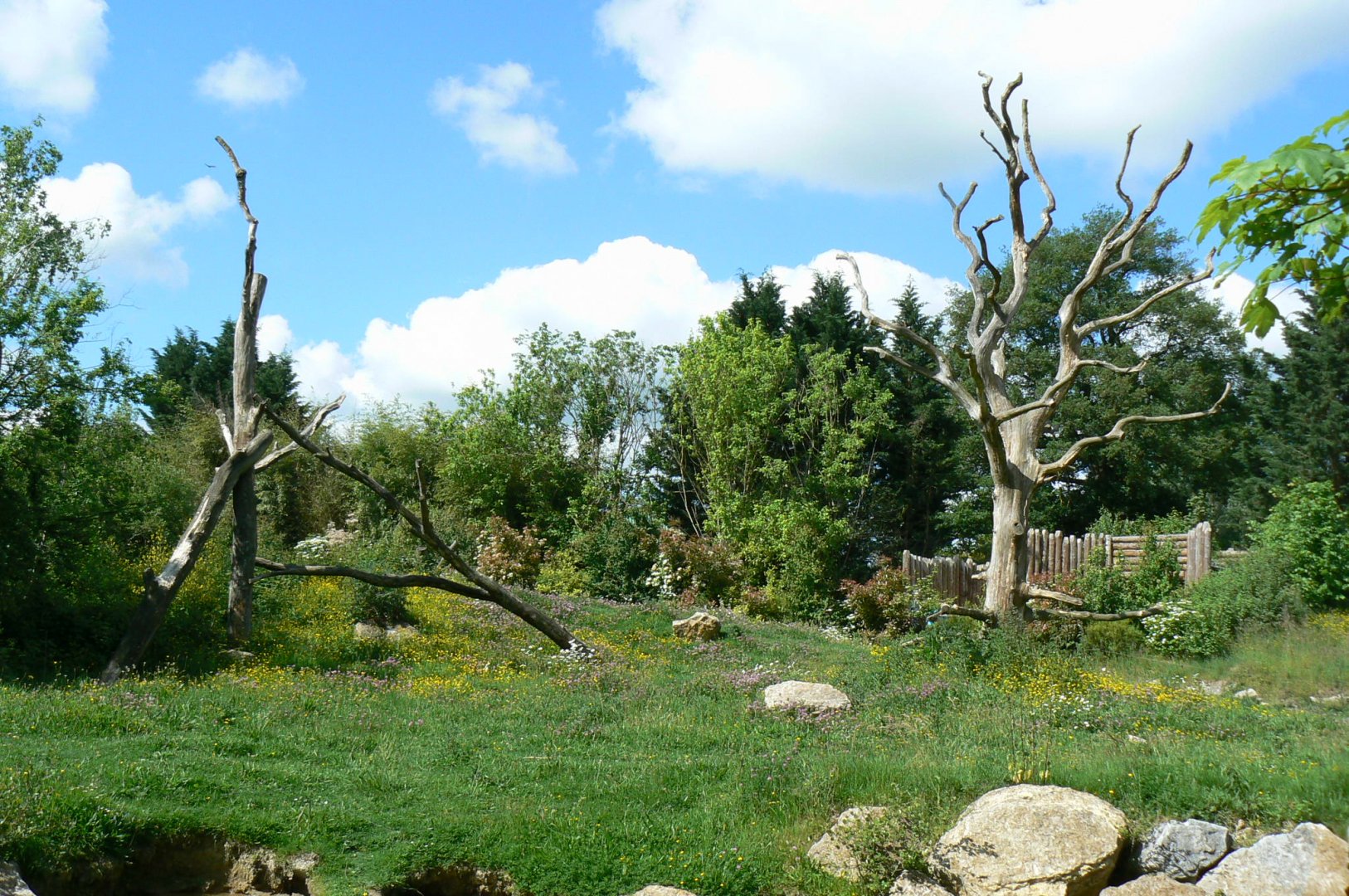 Le Pal - Gelada baboons island