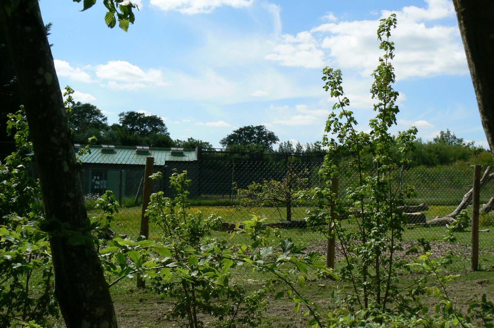 Le Pal - Gelada baboons off-show enclosure and building