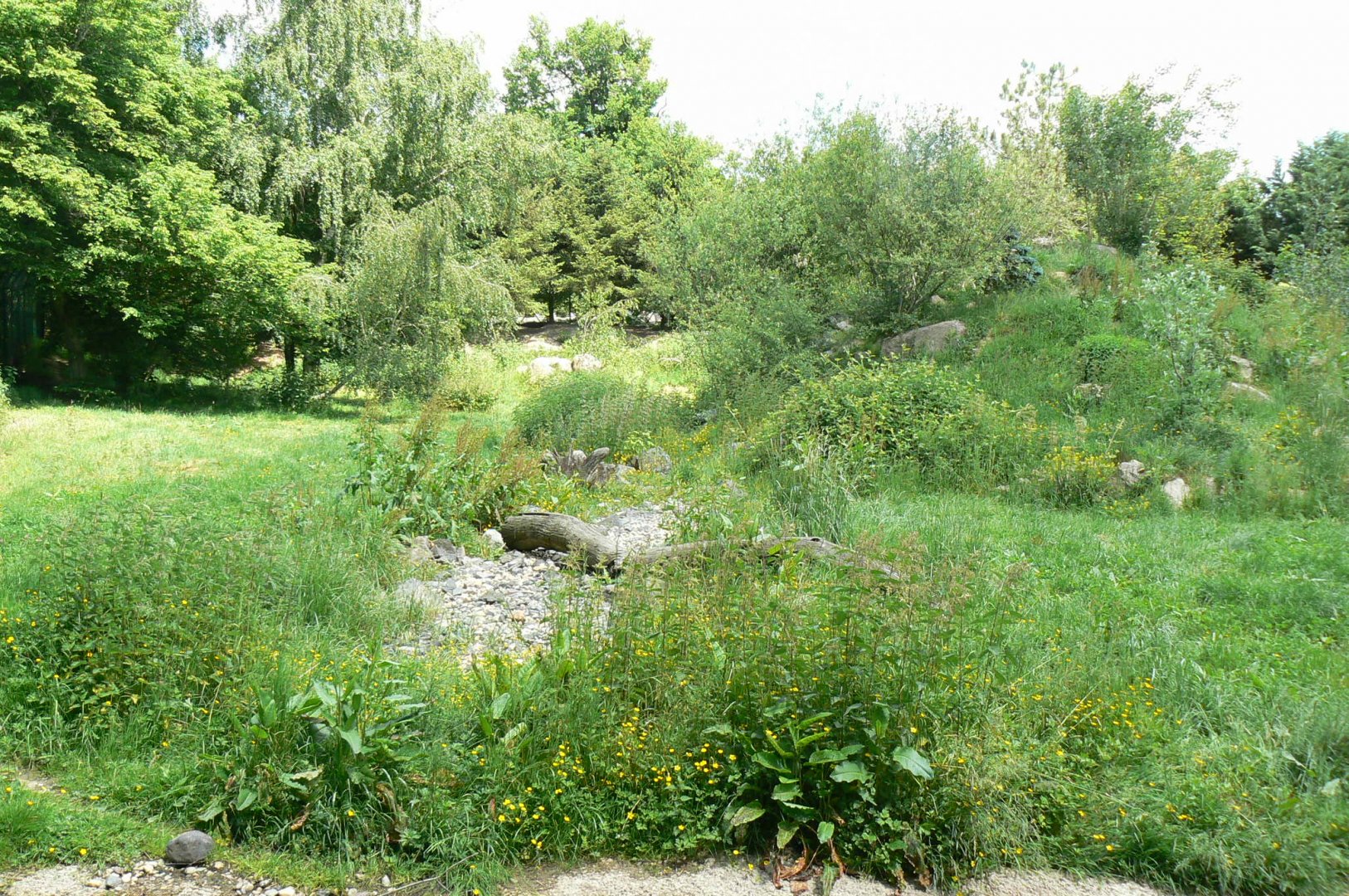 Le Pal - Grey wolves exhibit