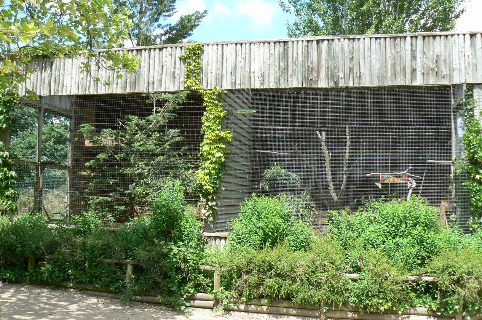 Le Pal - Harris' hawks and crested caracas aviaries