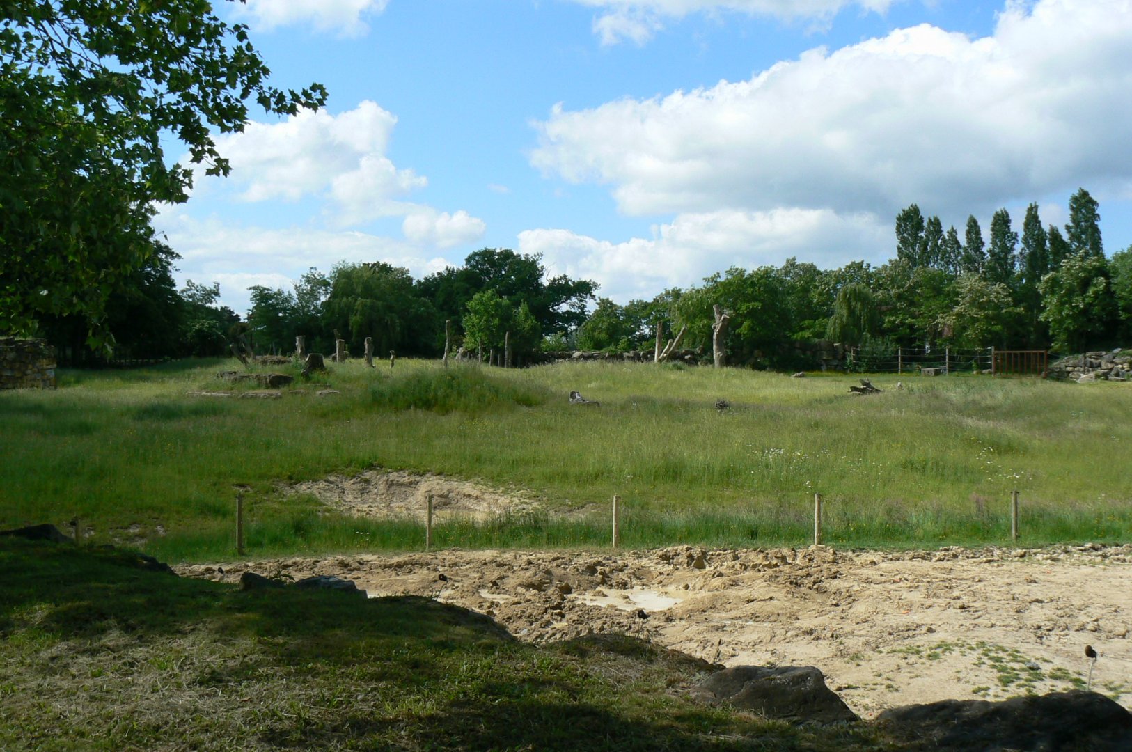 Le Pal - Indian elephants exhibit