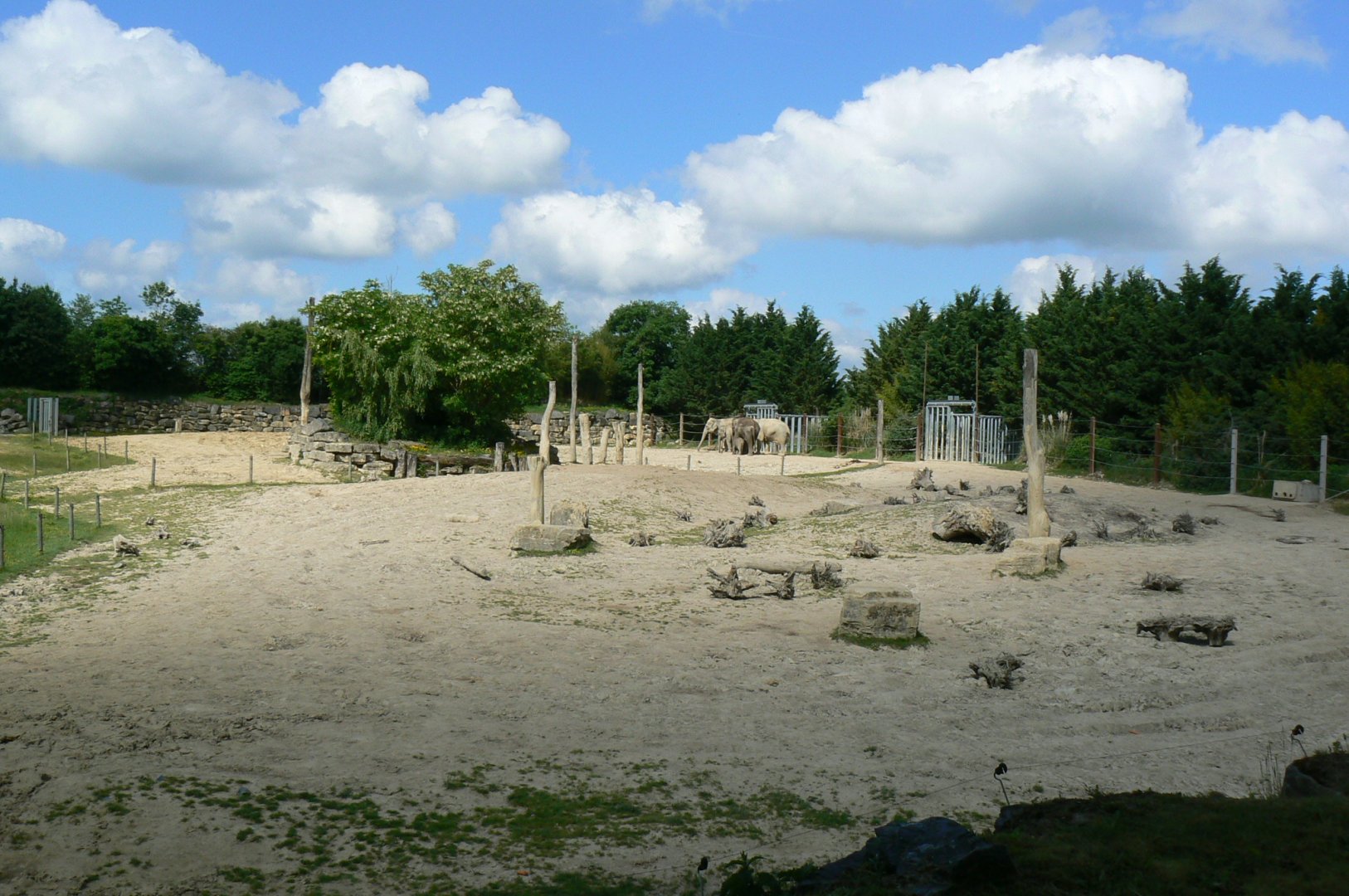 Le Pal - Indian elephants exhibit