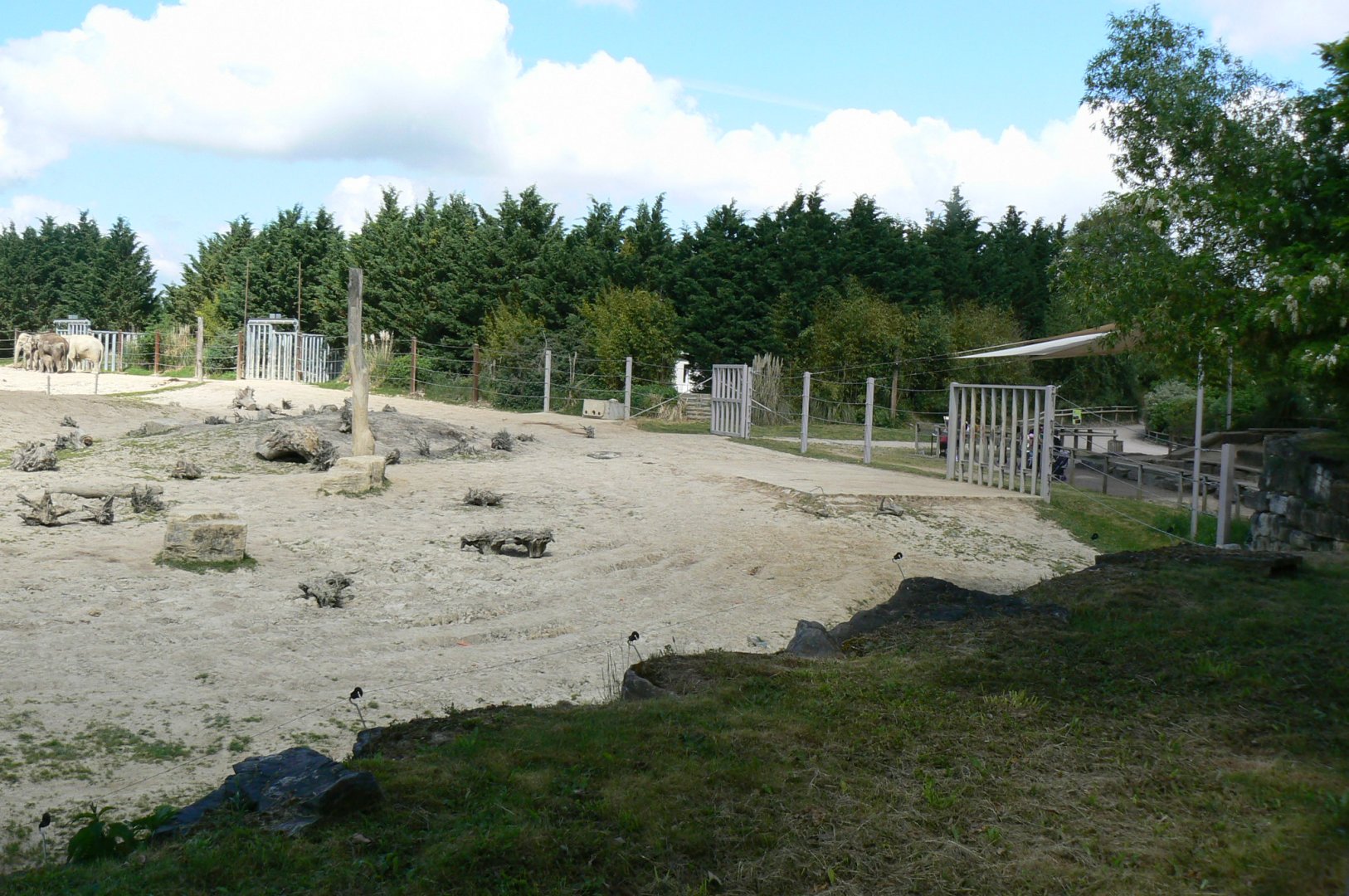 Le Pal - Indian elephants exhibit