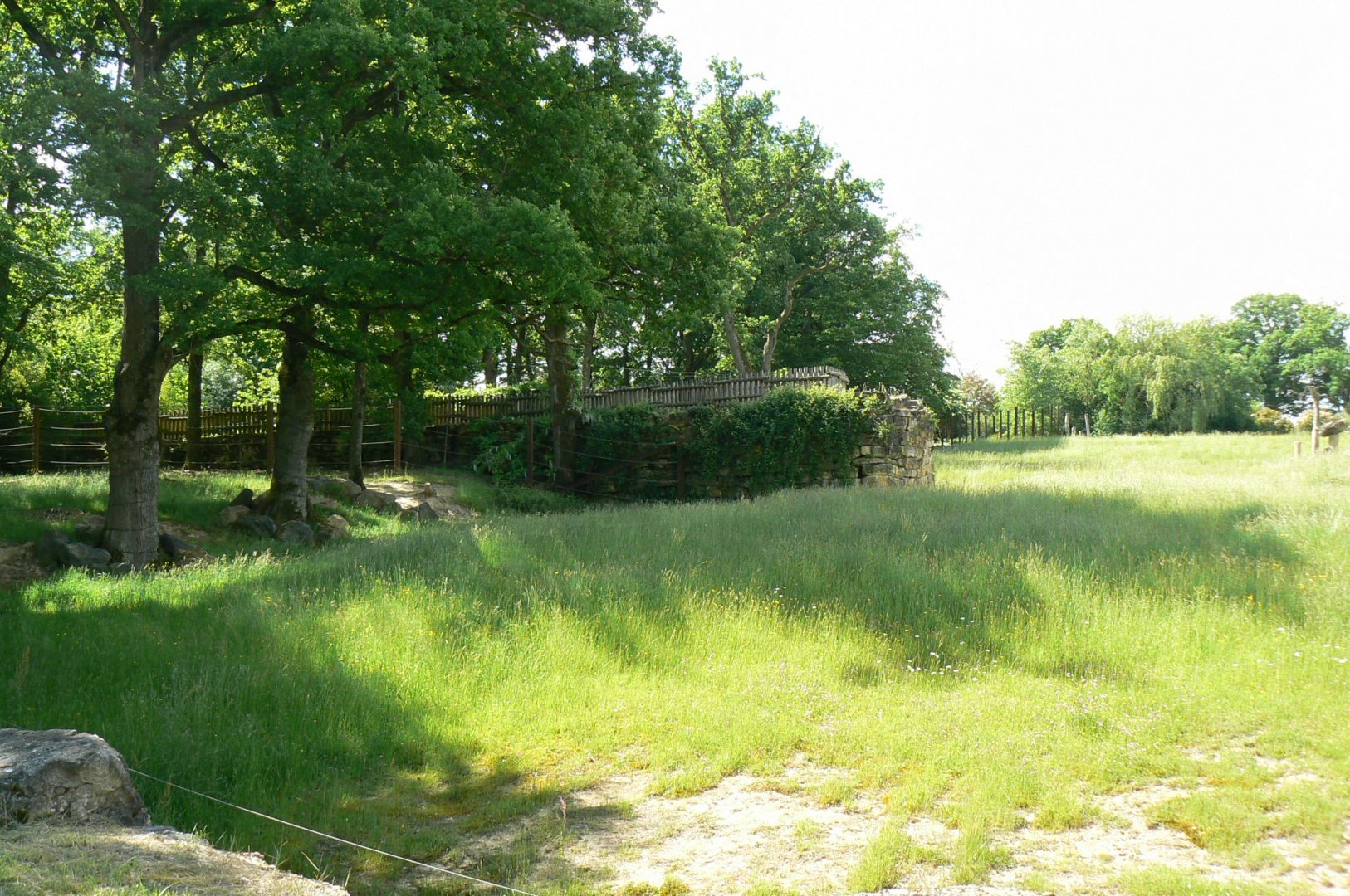 Le Pal - Indian elephants exhibit