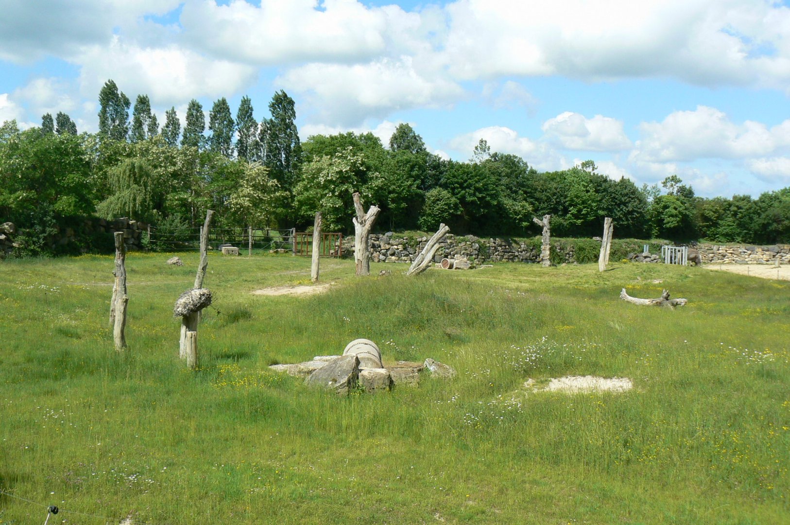 Le Pal - Indian elephants exhibit