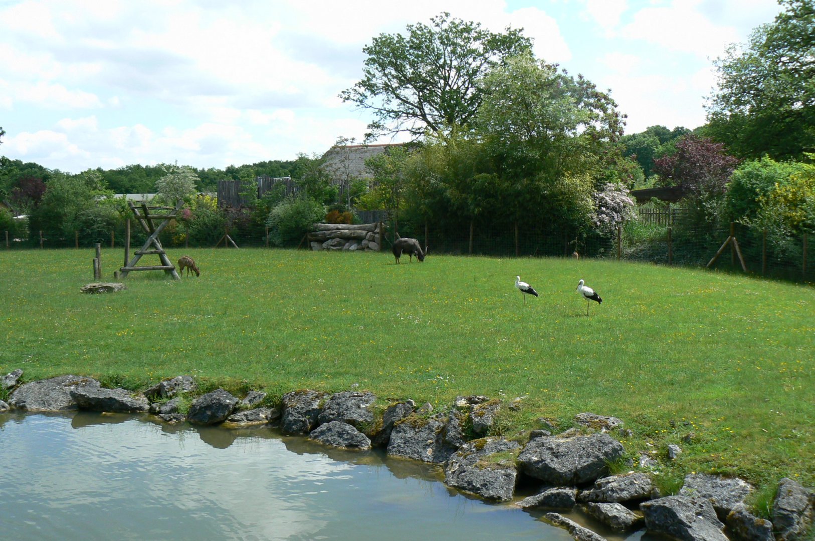 Le Pal - Lowland nyalas, white storks and ostriches exhibit