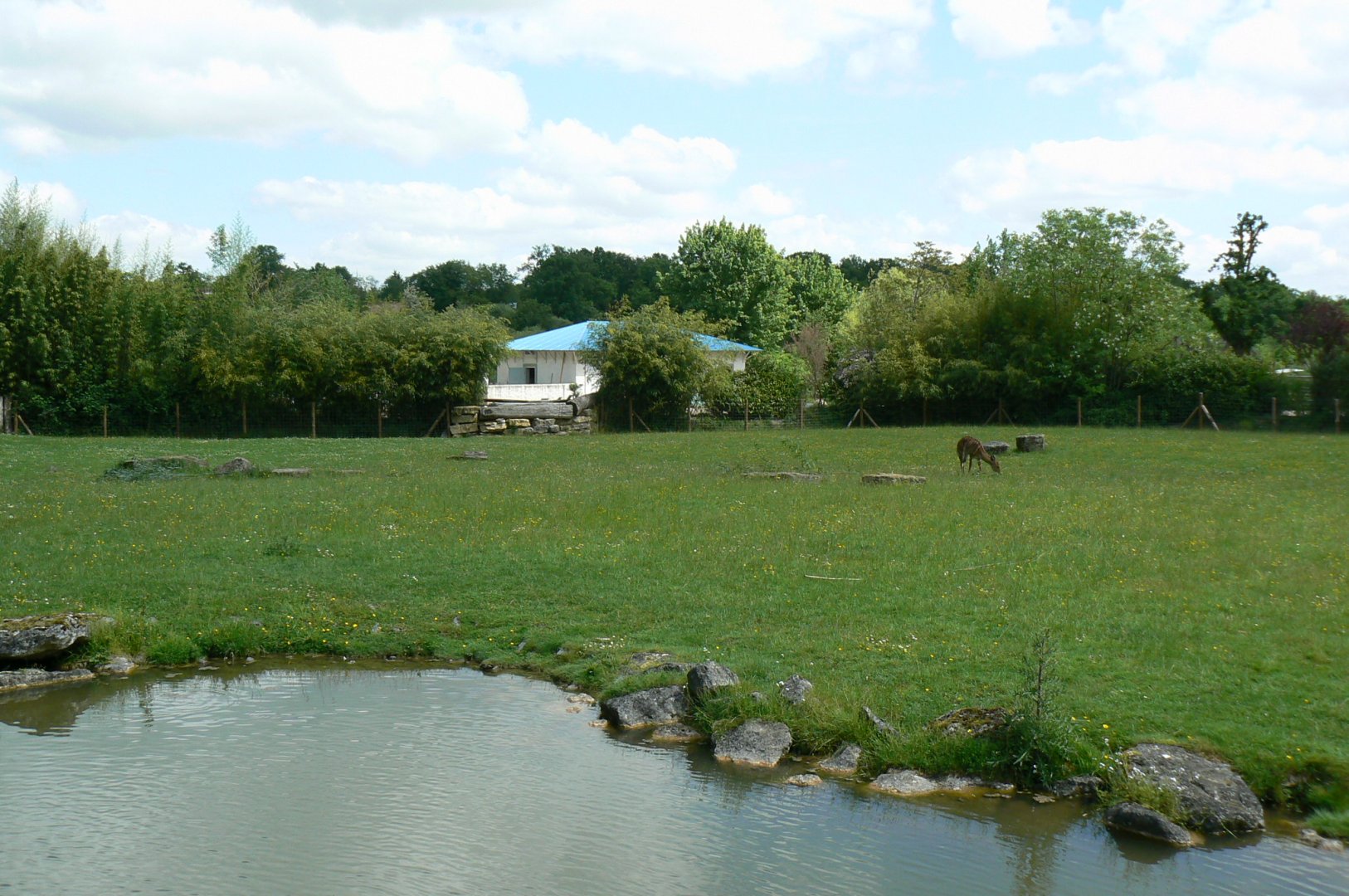 Le Pal - Lowland nyalas, white storks and ostriches exhibit