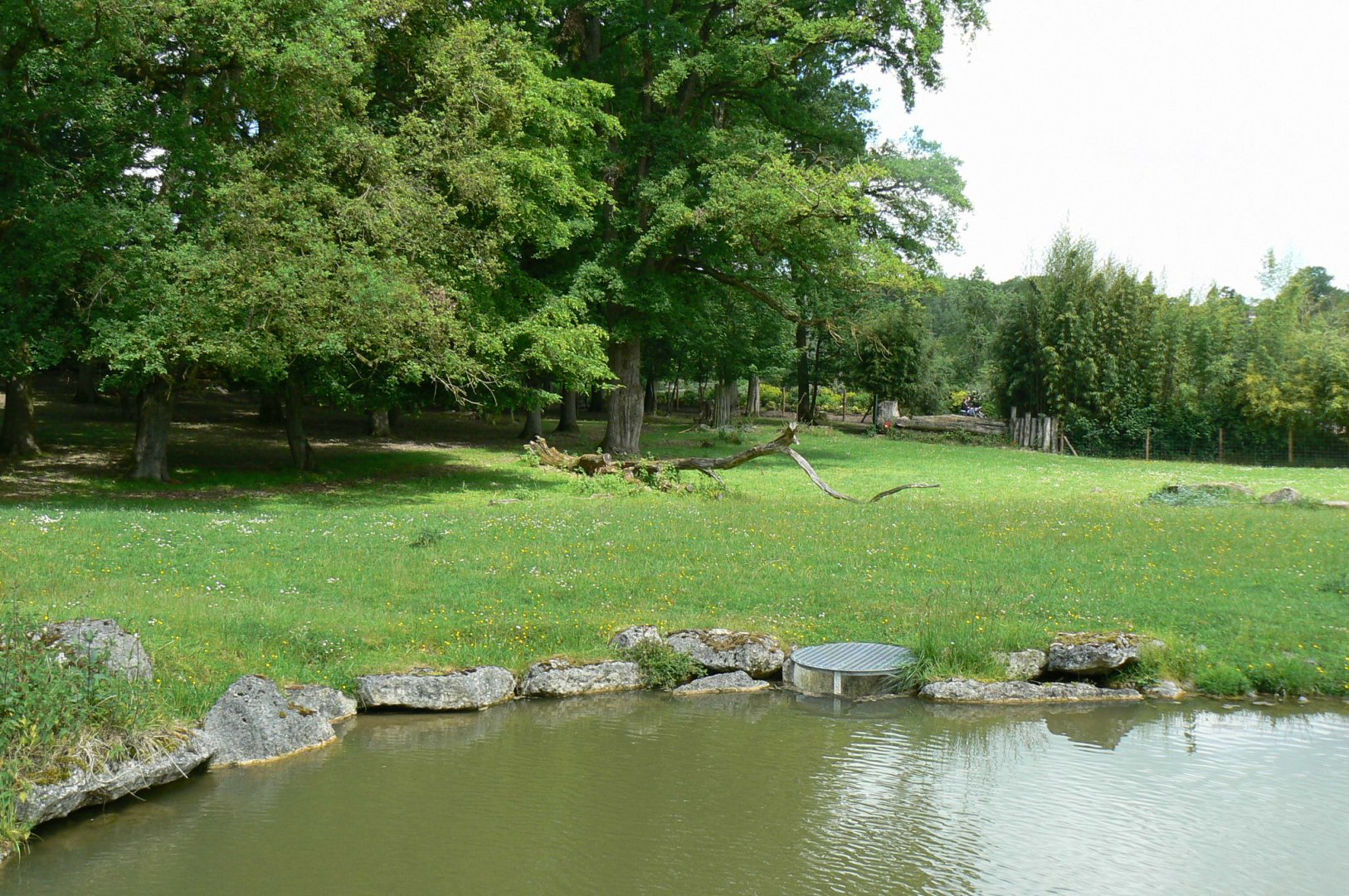 Le Pal - Lowland nyalas,  white storks and ostriches exhibit