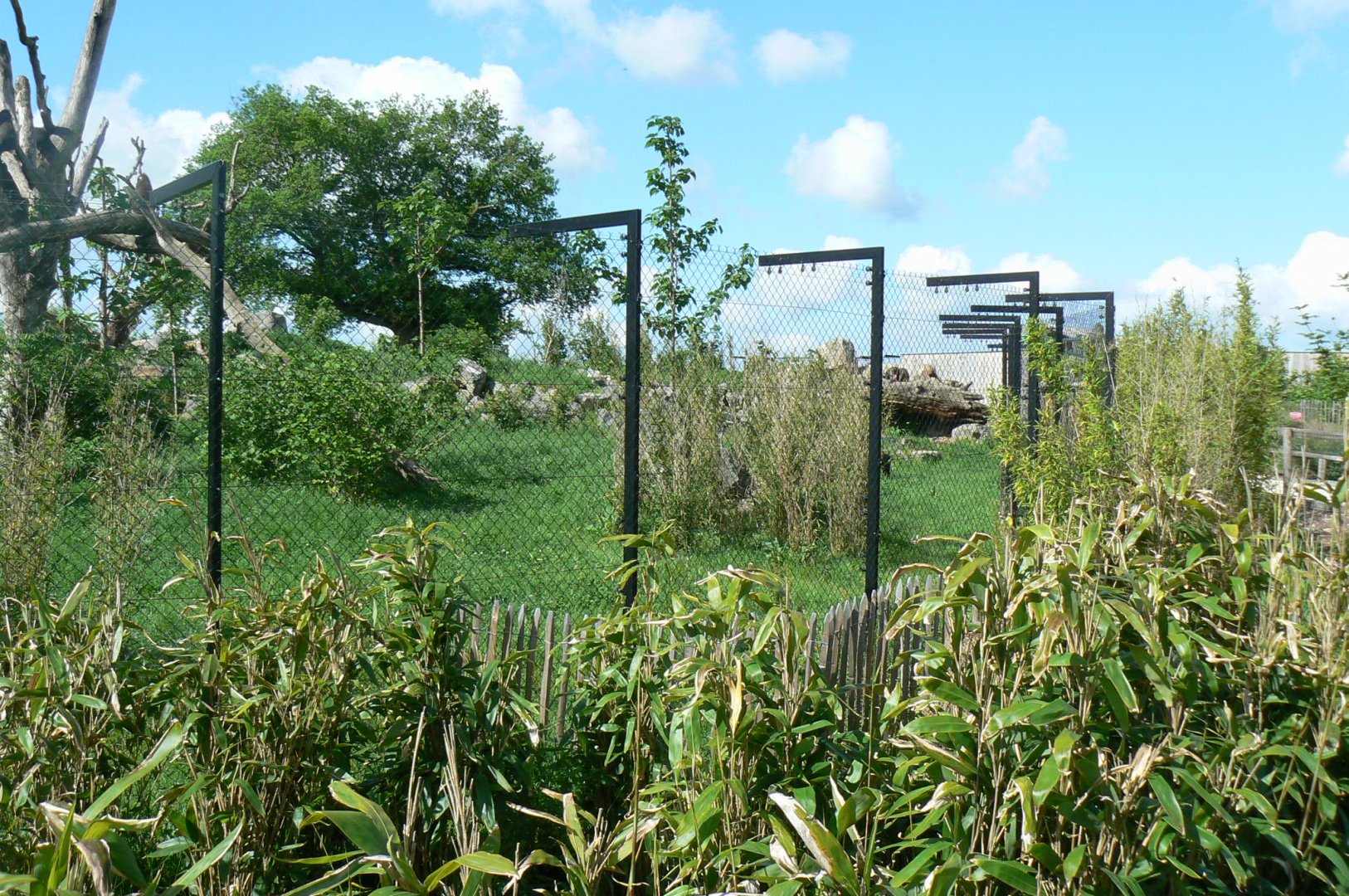 Le Pal - Mandrills exhibit