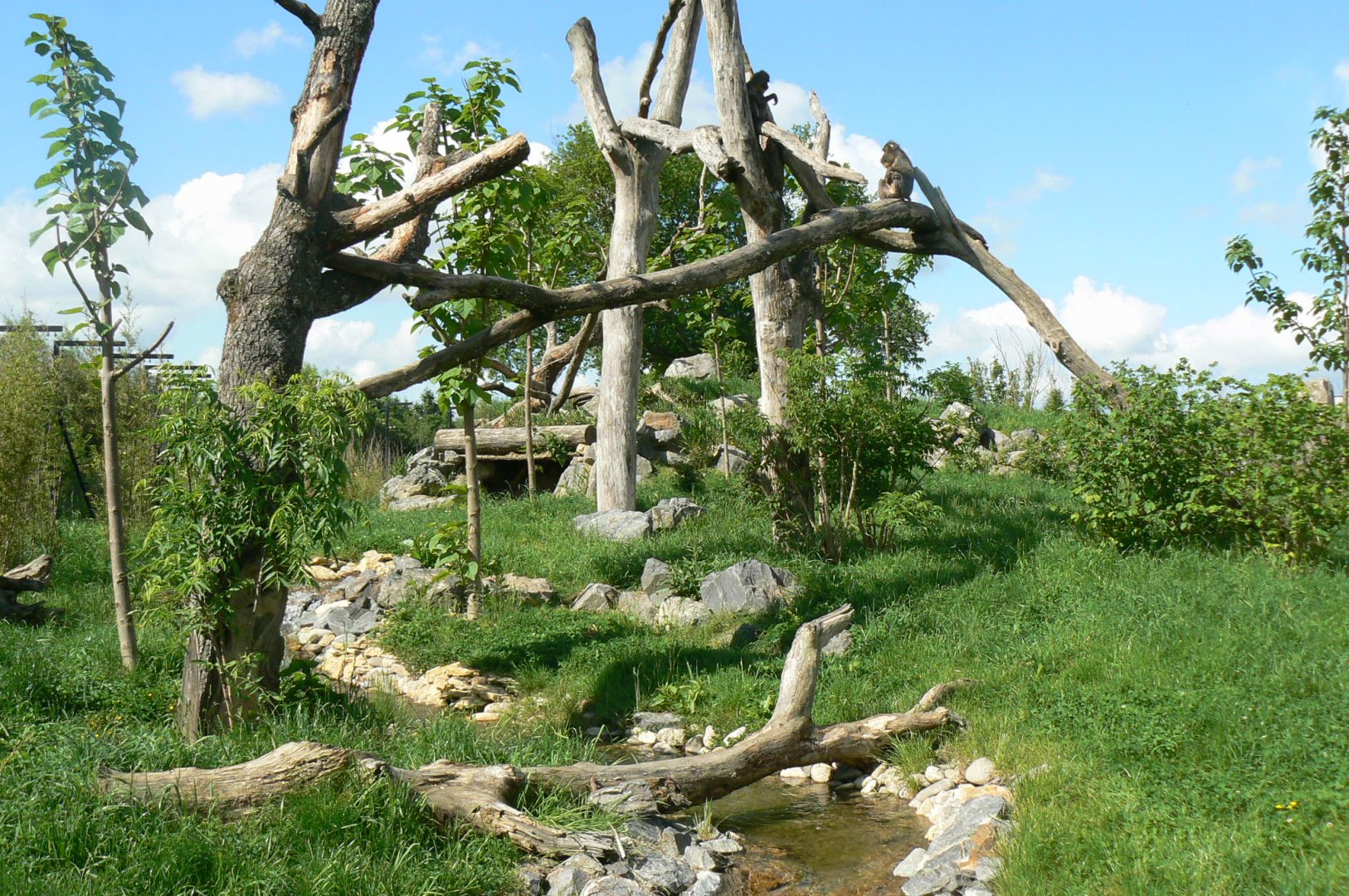 Le Pal - Mandrills exhibit
