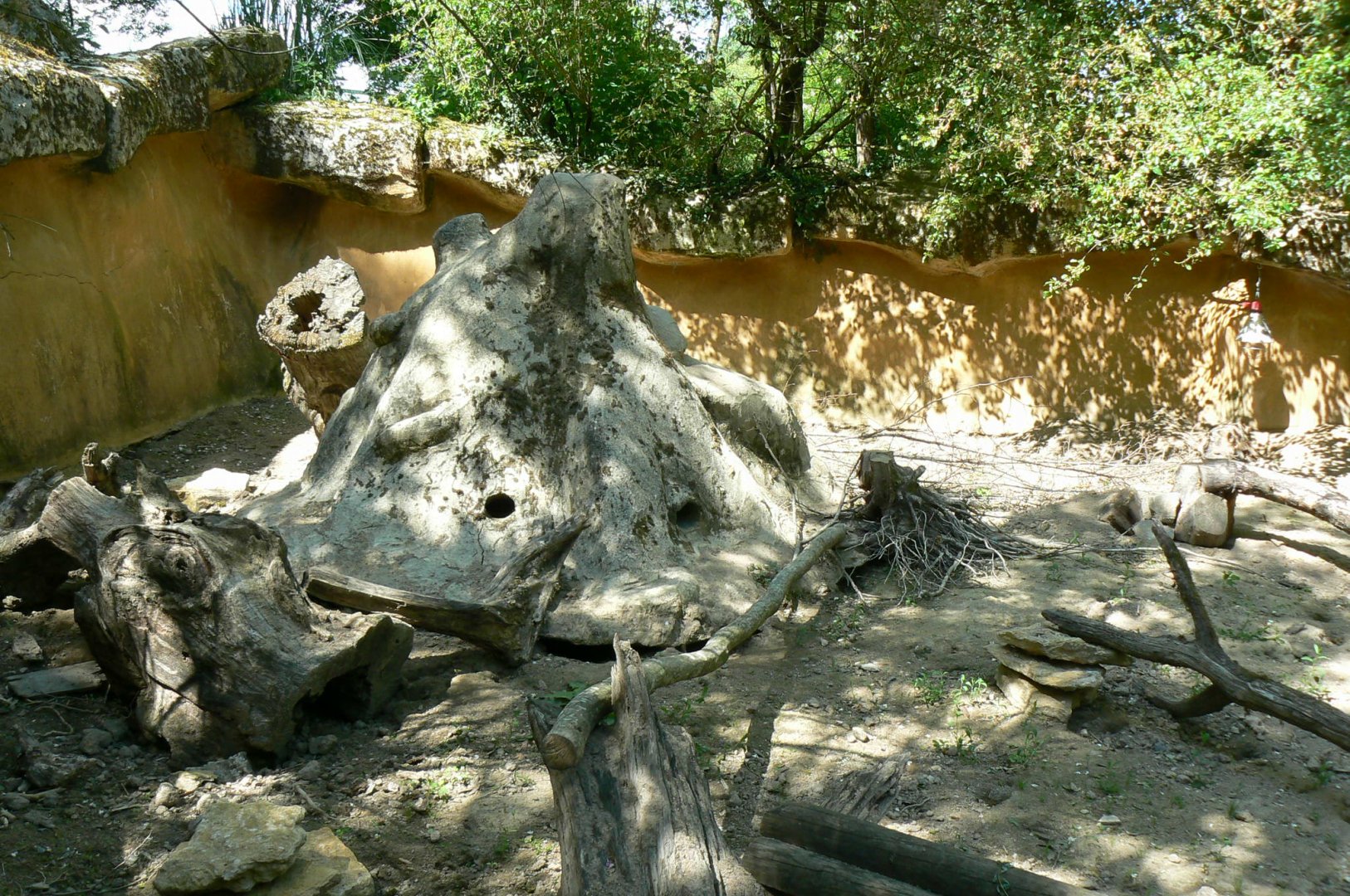Le Pal - Meerkats enclosure