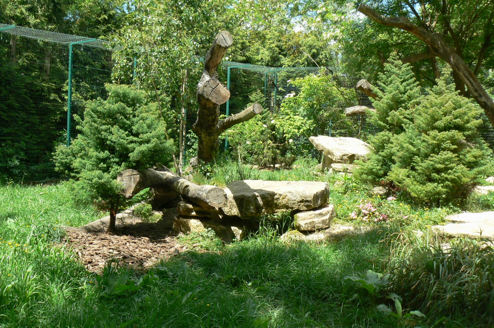 Le Pal - Northen lynx enclosure