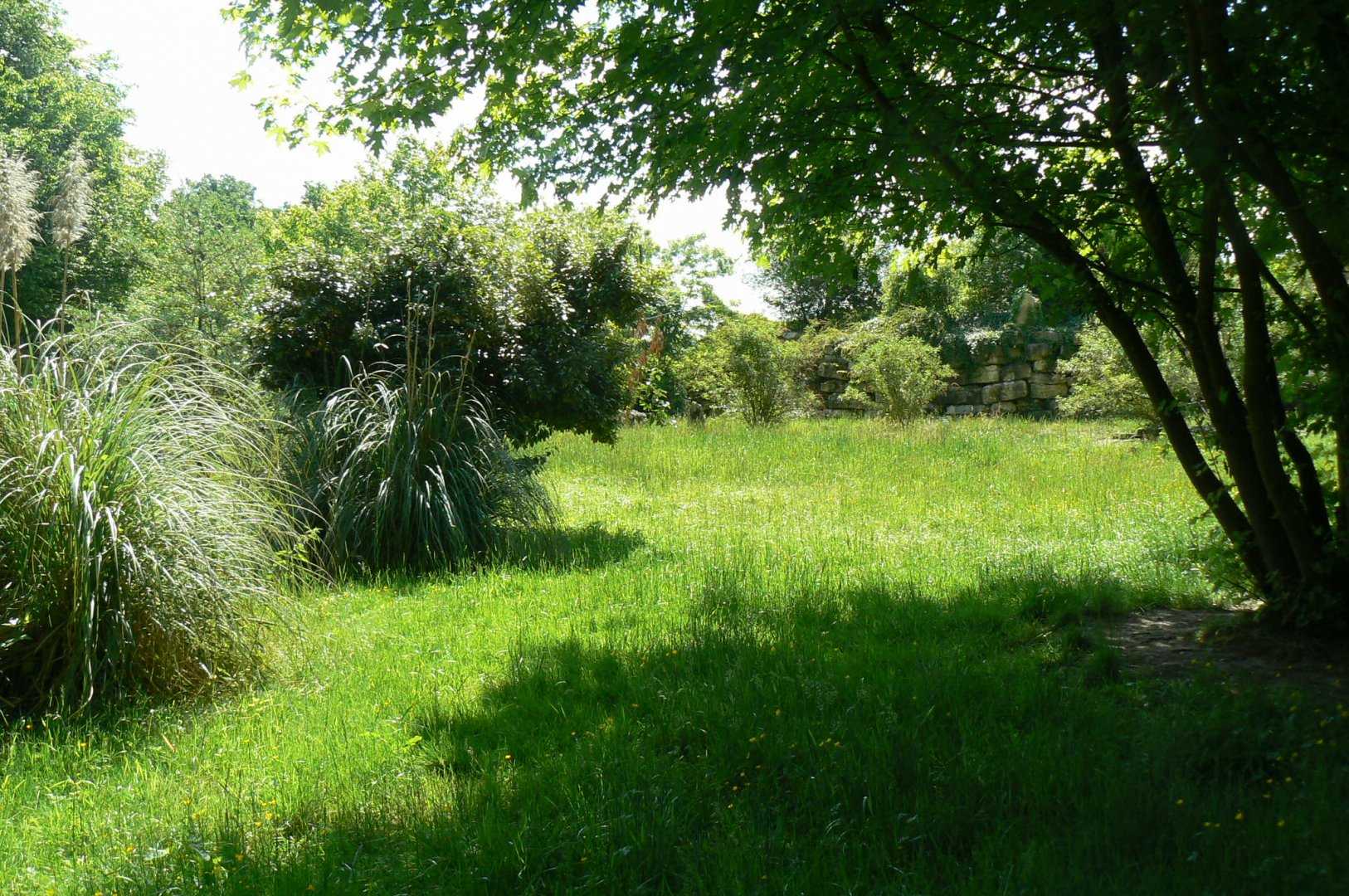 Le Pal - Painted dogs enclosure