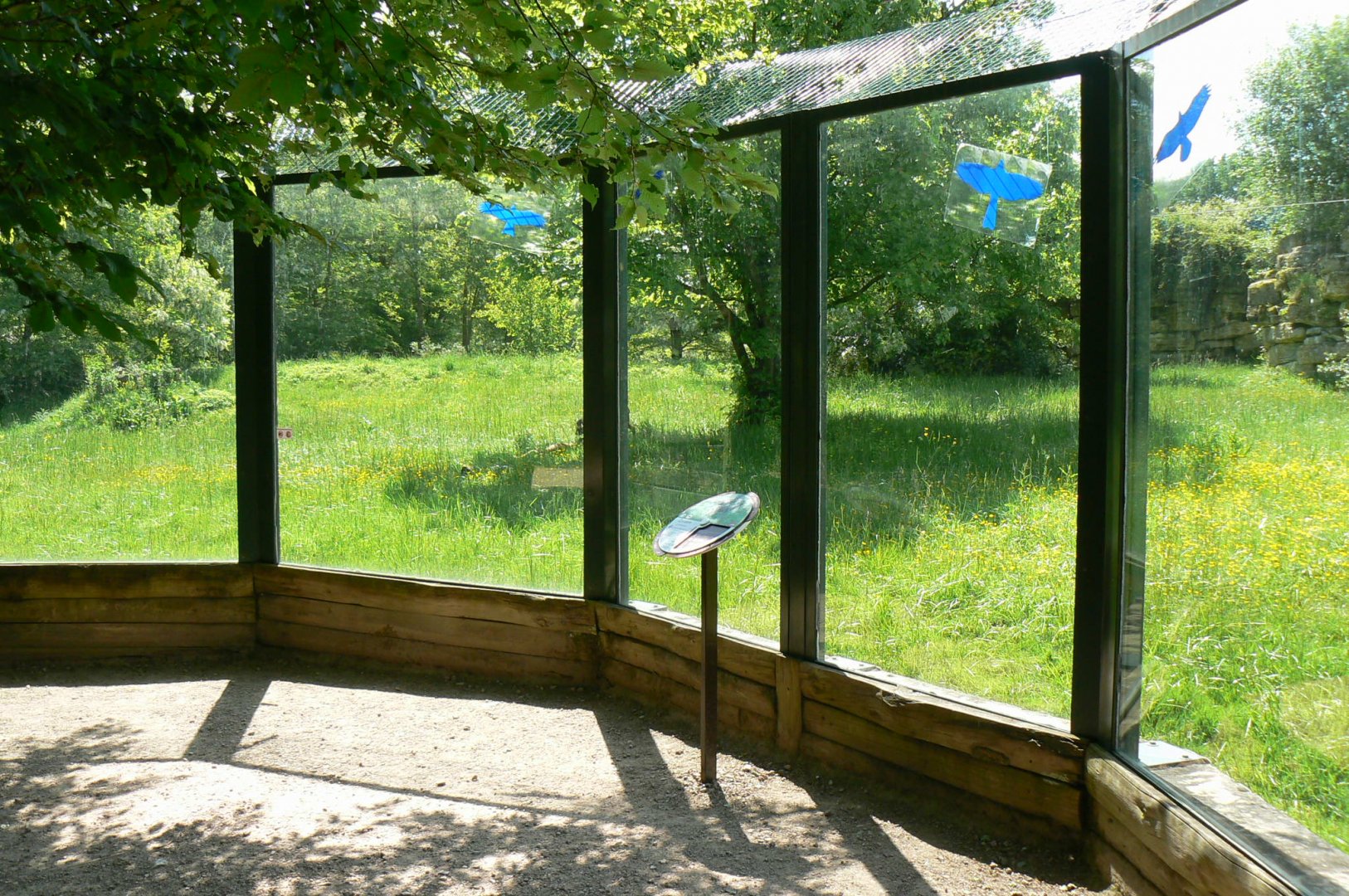 Le Pal - Painted dogs enclosure