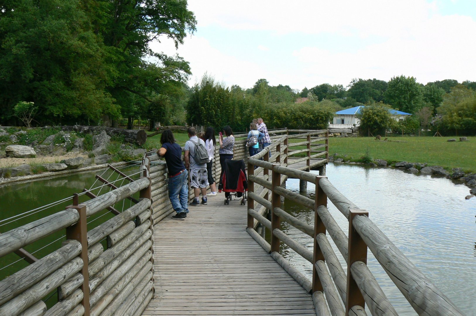 Le Pal - Patheway with red river hogs on the left and nyalas on the right