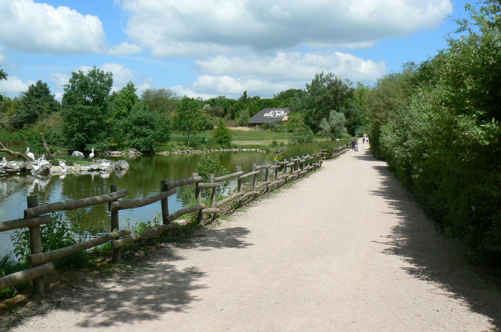 Le Pal - Pelicans pond
