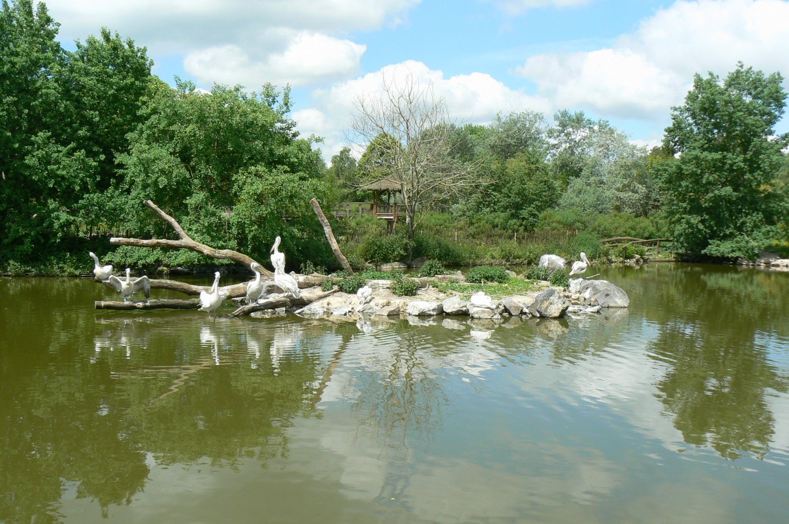 Le Pal - Pelicans pond