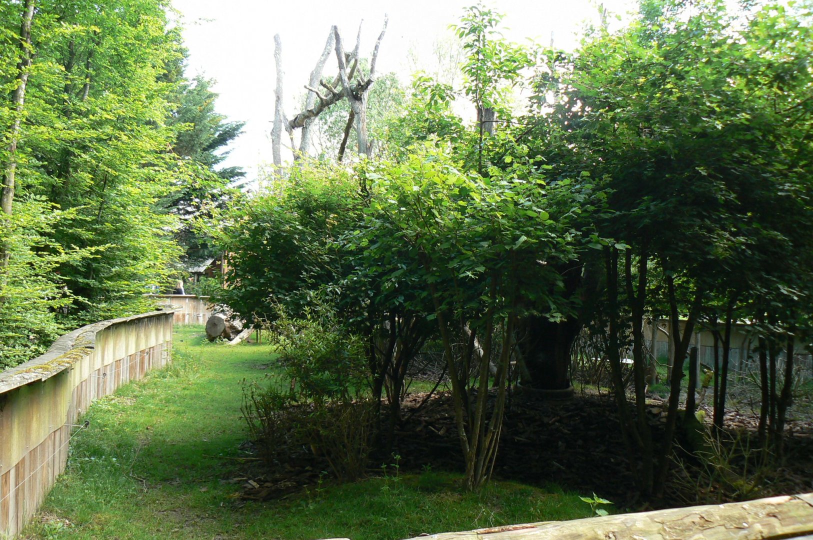 Le Pal - Red pandas enclosure