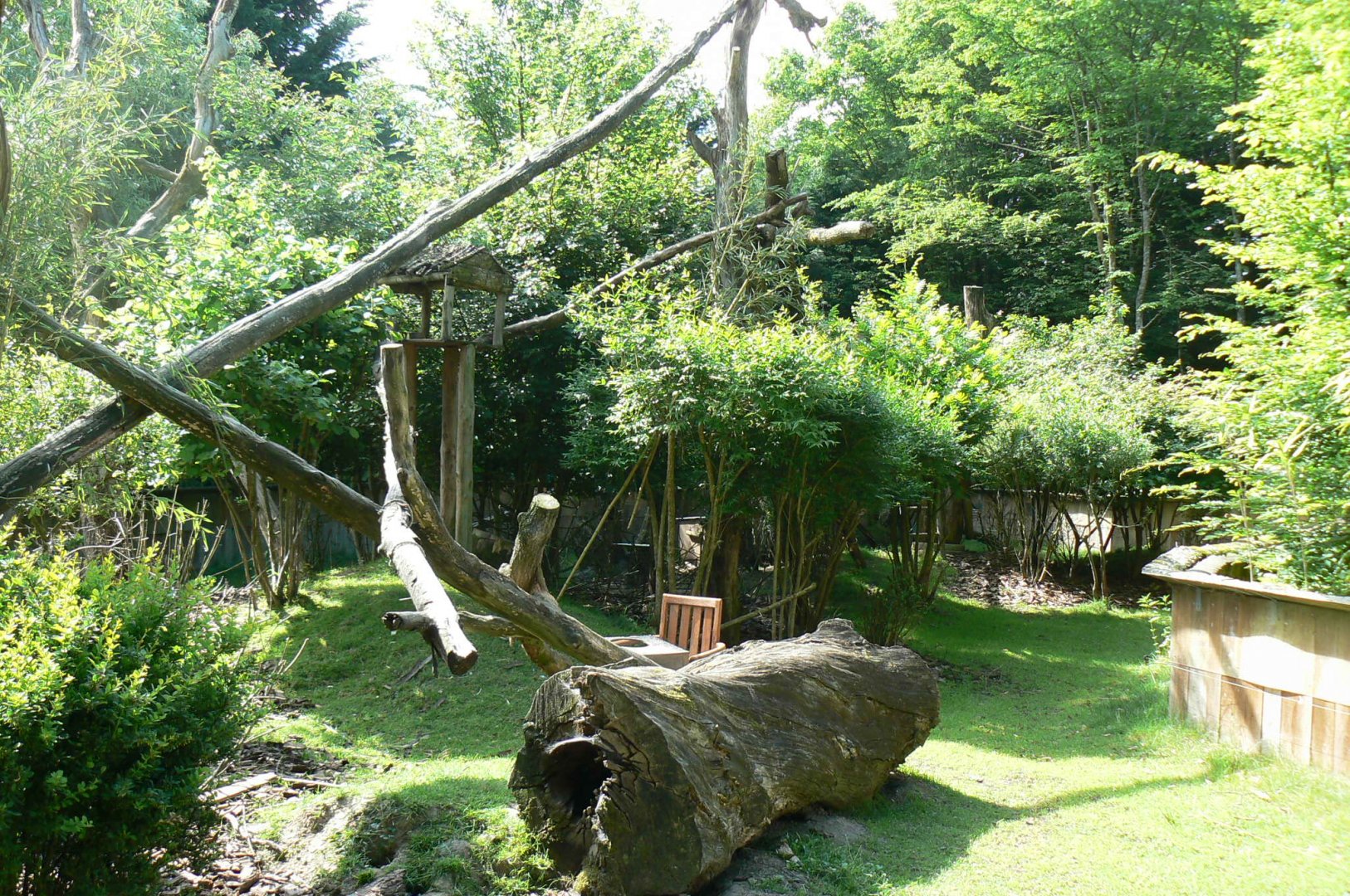 Le Pal - Red pandas enclosure