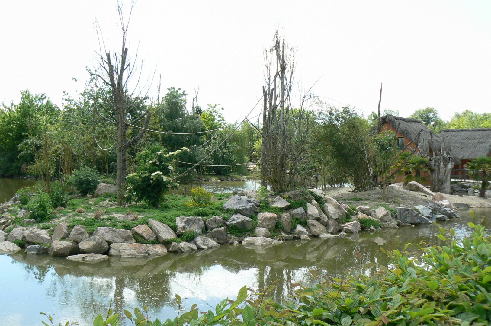 Le Pal - Ring-tailed and mongoz lemurs island