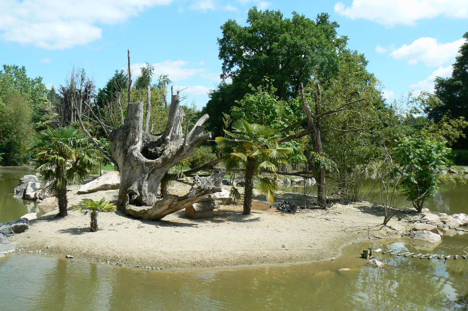 Le Pal - Ring-tailed and mongoz lemurs island