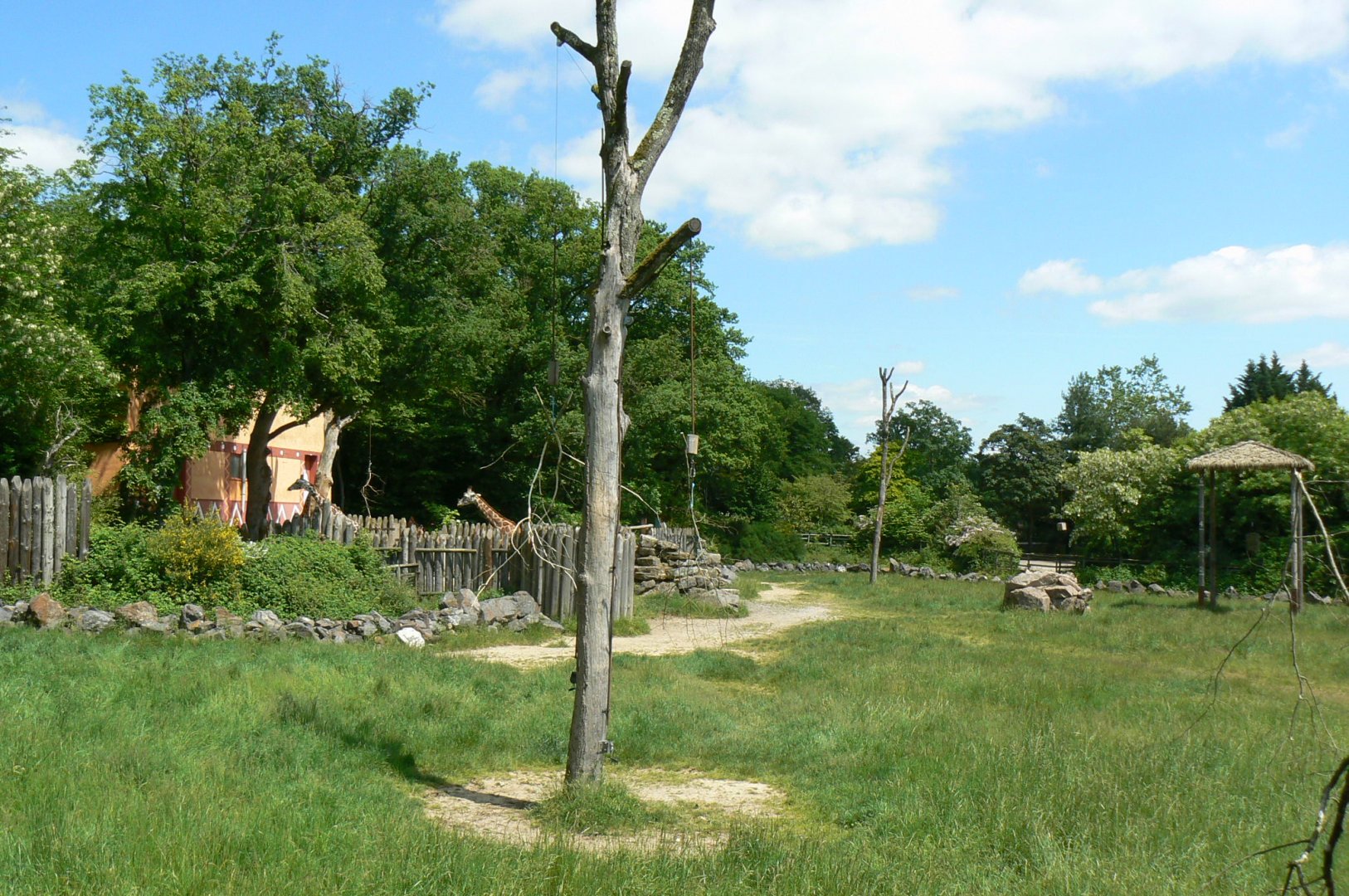 Le Pal - Rotshchild's giraffes enclosure