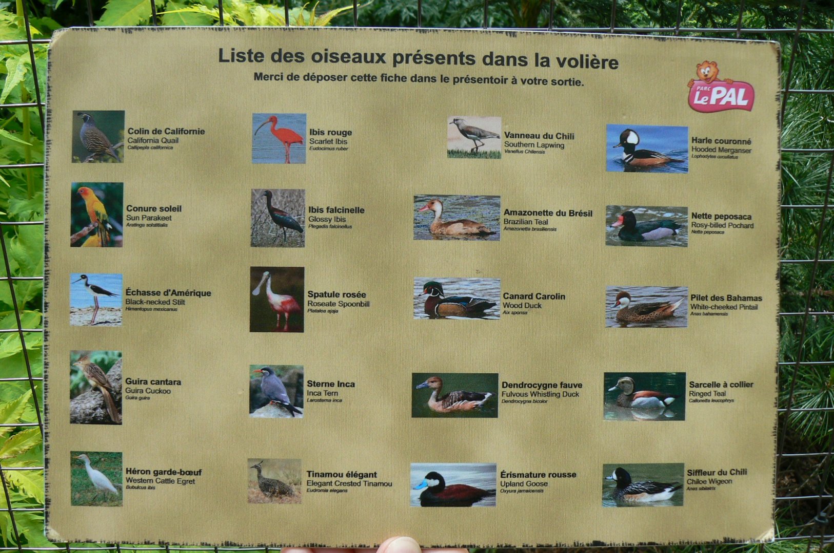 Le Pal - South american aviary species list panel
