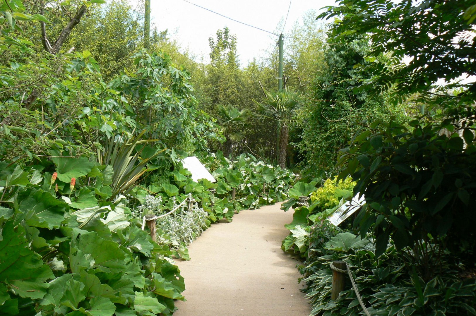 Le Pal - South american aviary