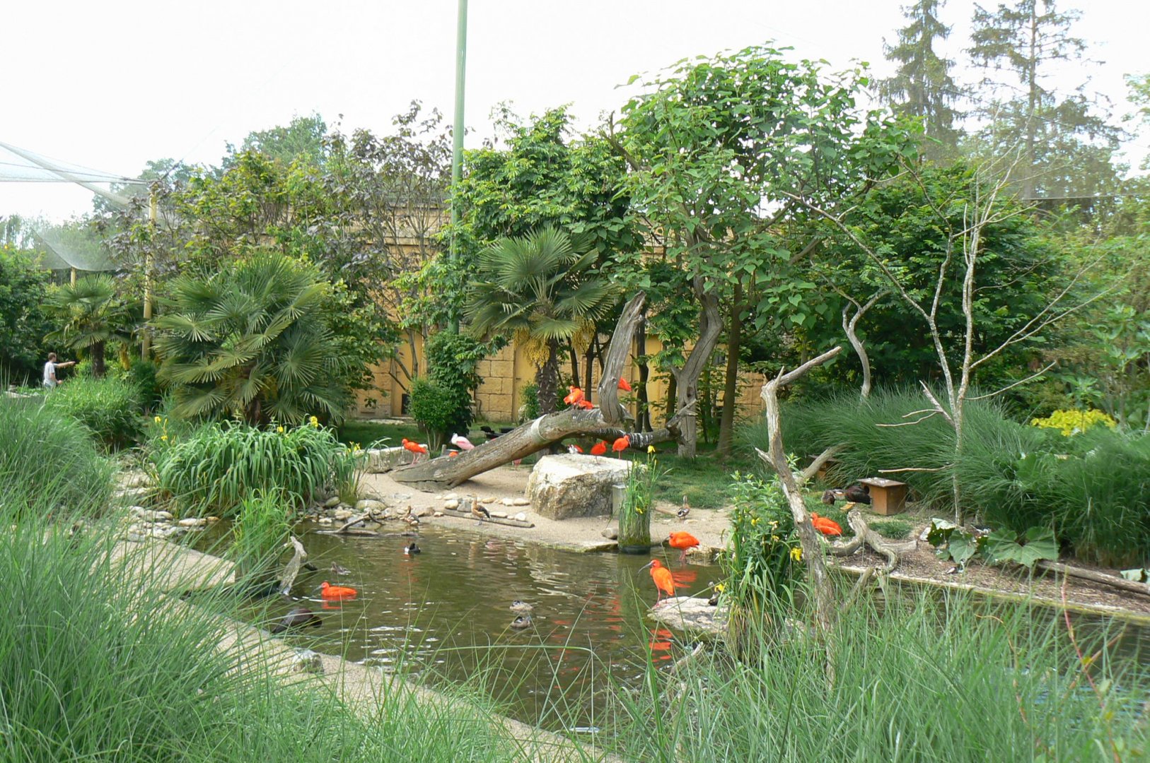 Le Pal - South american aviary