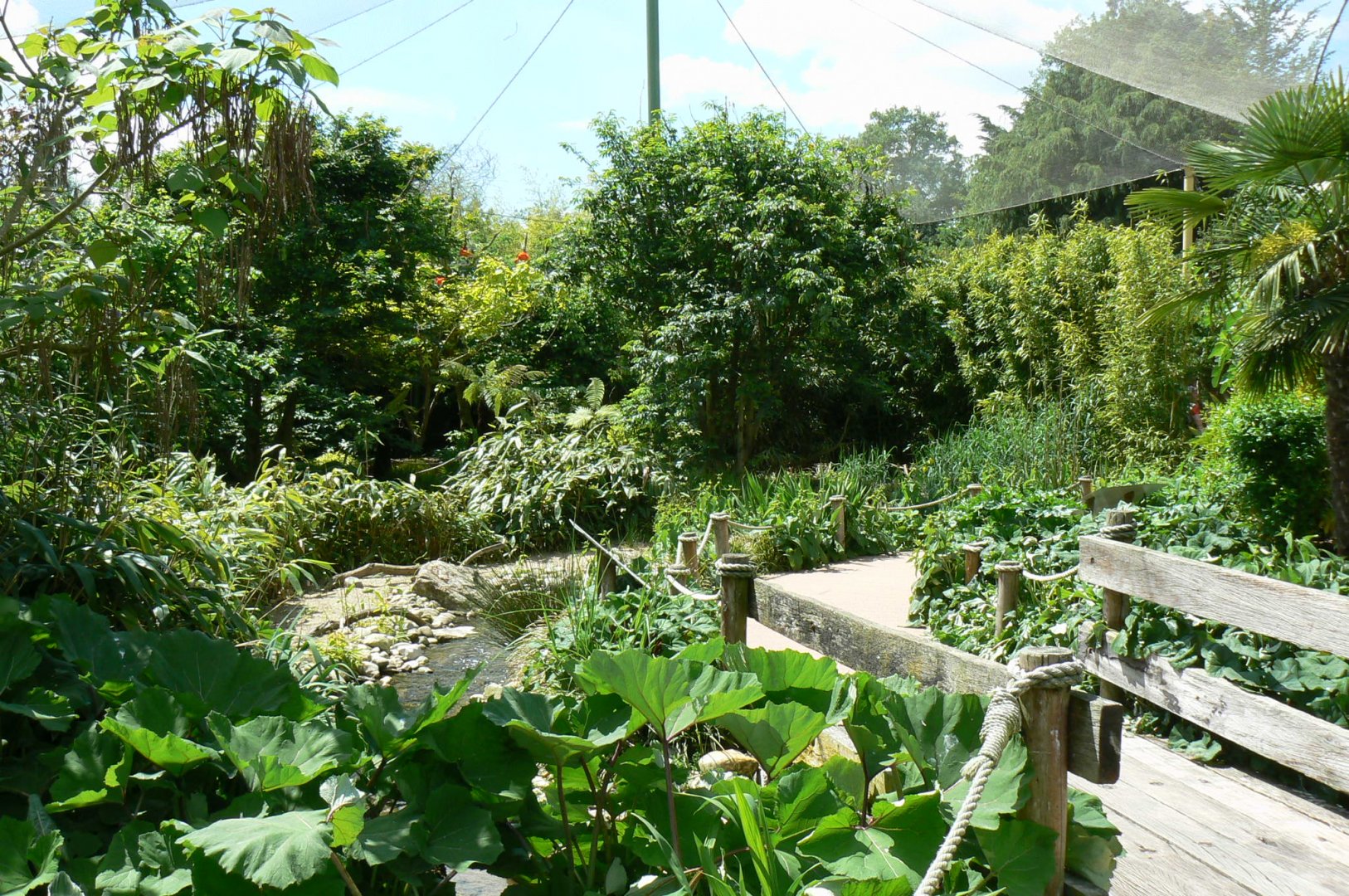 Le Pal - South american aviary