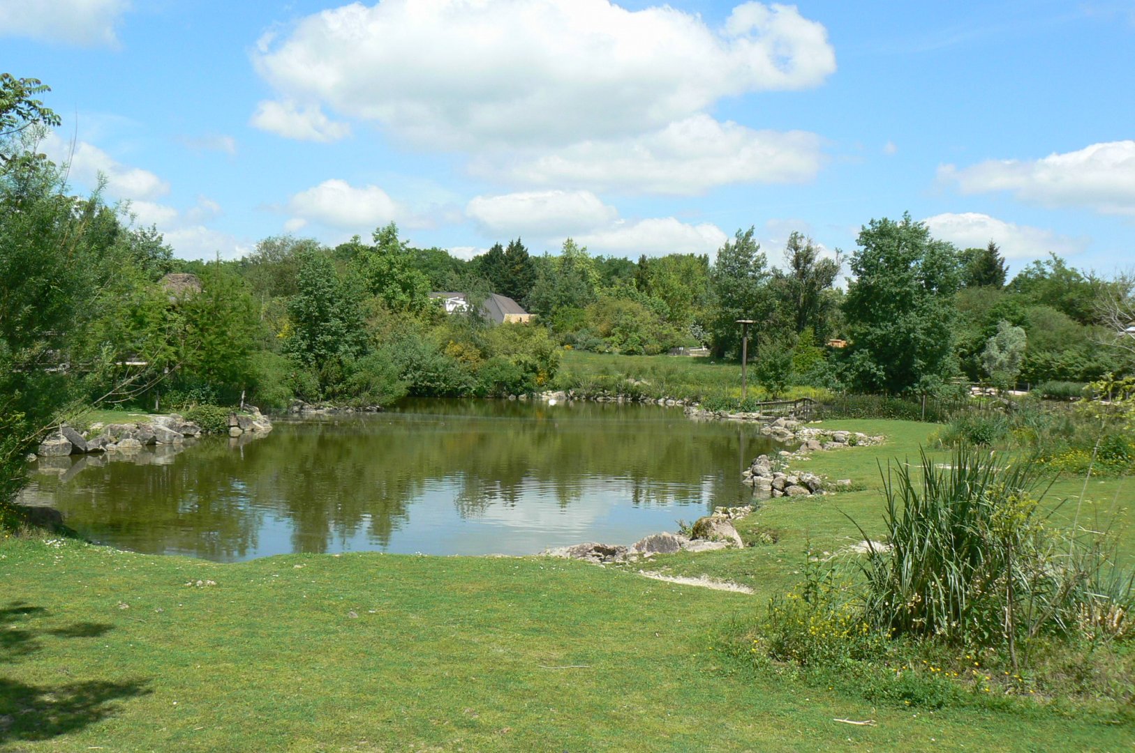 Le Pal - South american plain exhibit