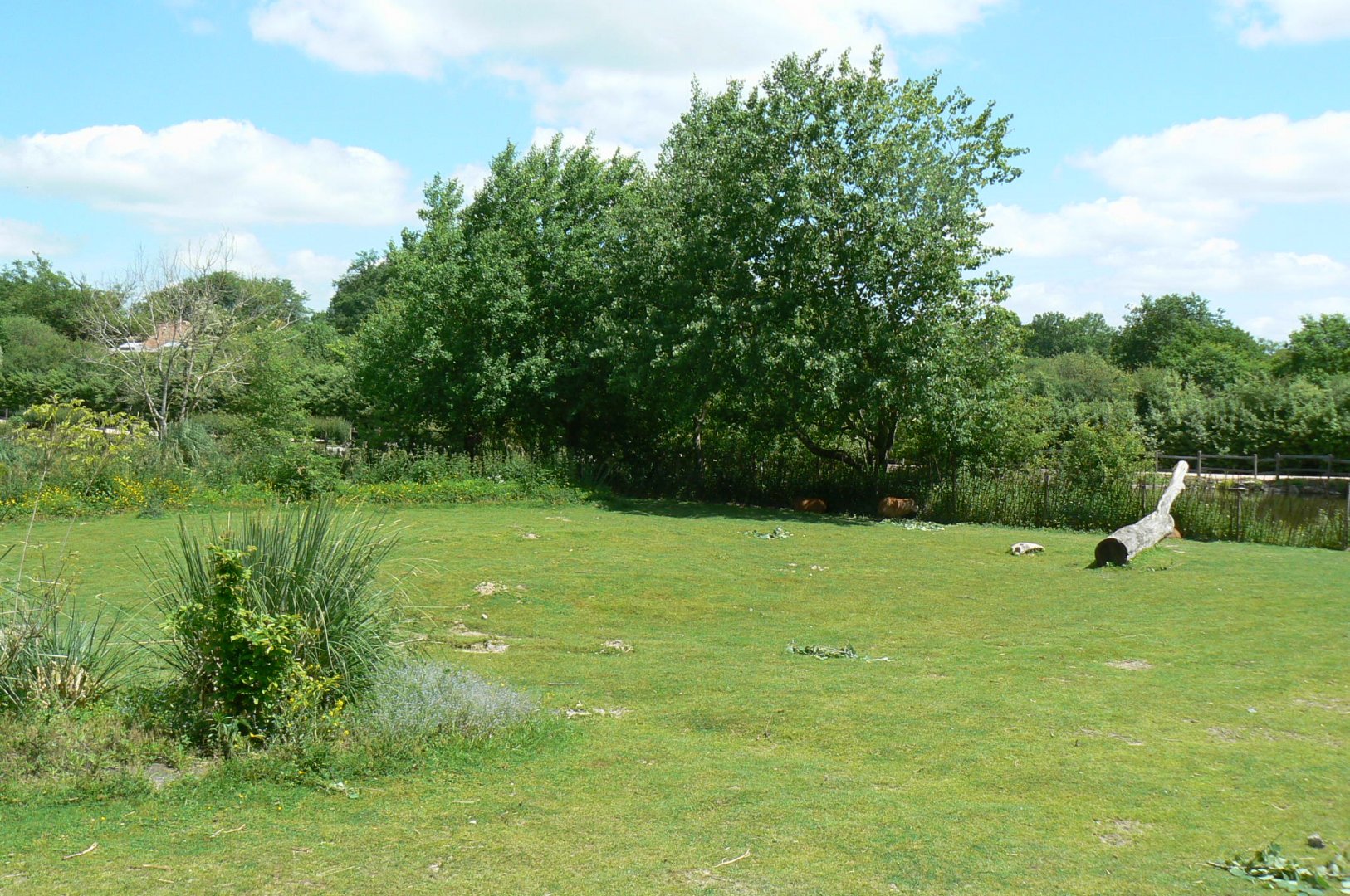 Le Pal - South american plain exhibit
