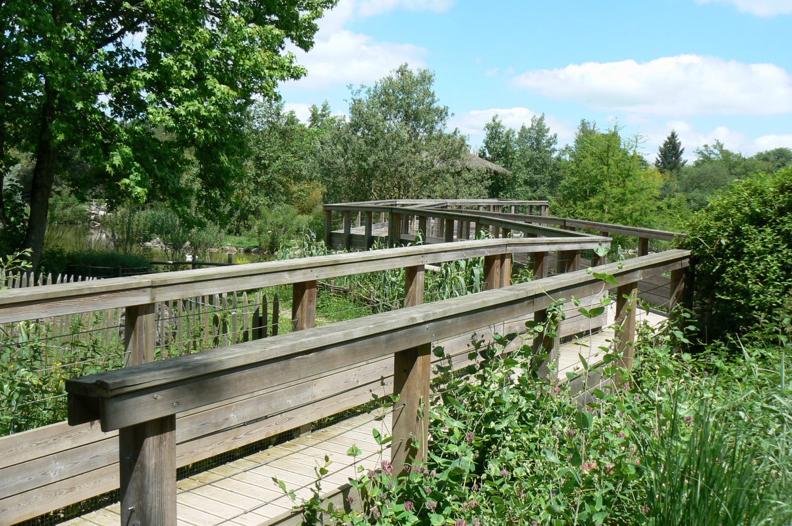 Le Pal - South american plain exhibit