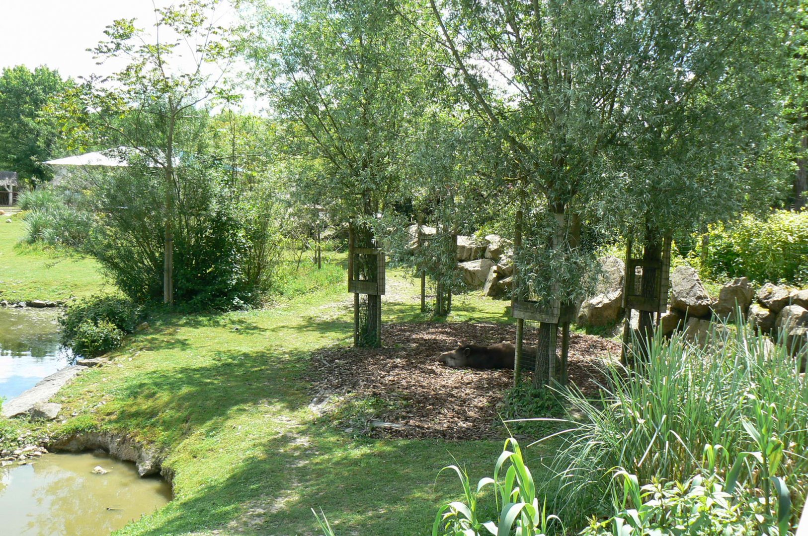 Le Pal - South american plain exhibit