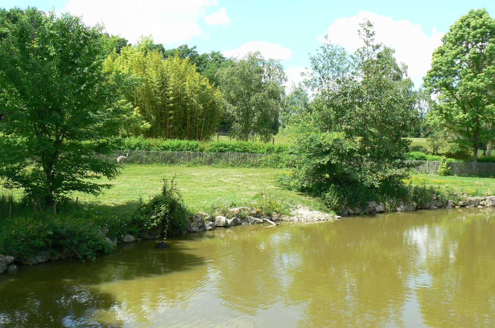 Le Pal - South american plain exhibit