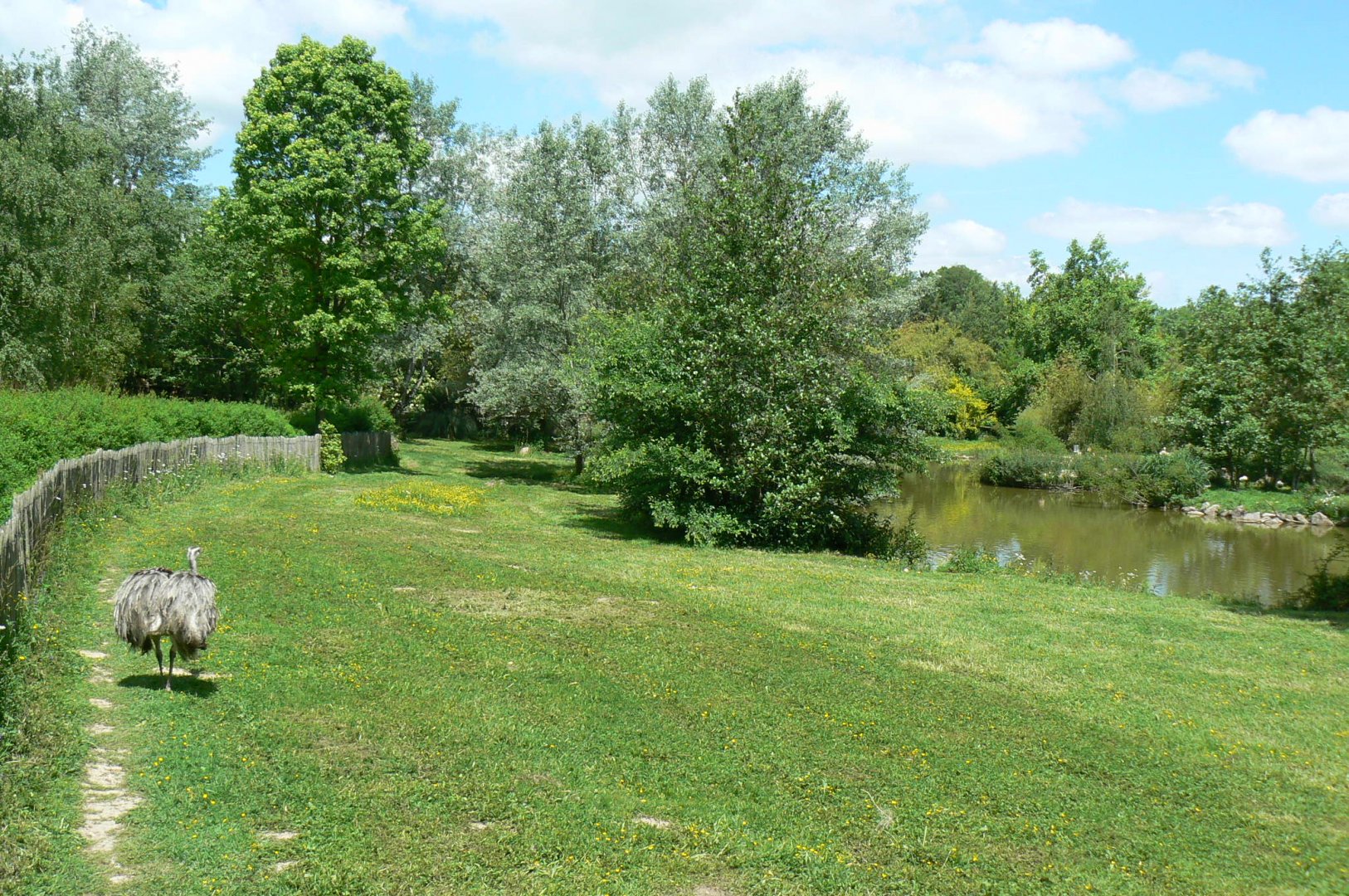 Le Pal - South american plain exhibit