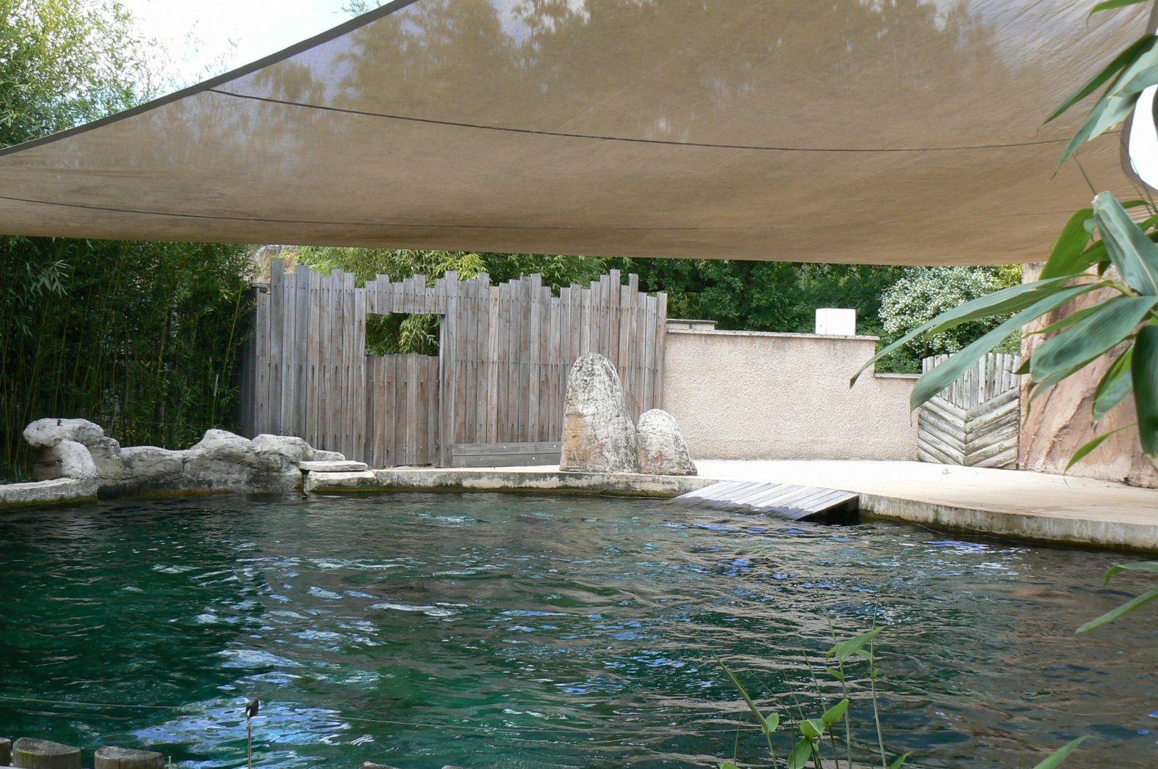 Le Pal - South american sea lions second pool