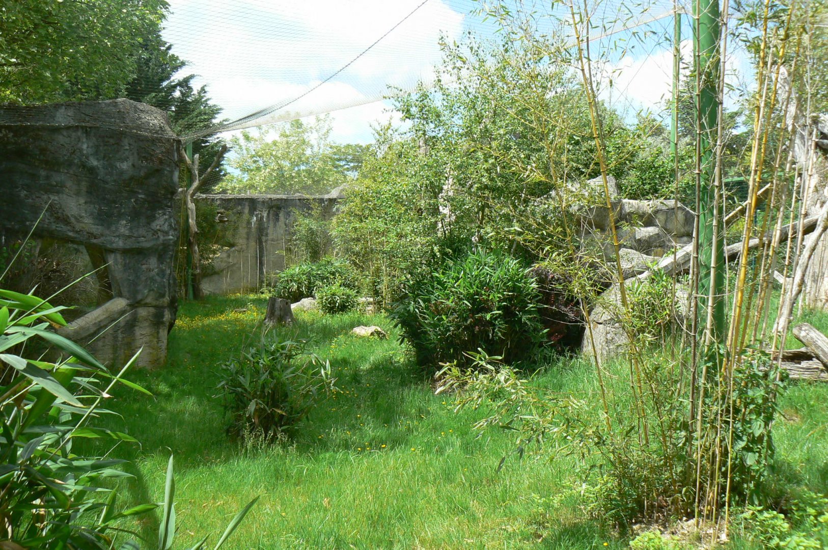 Le Pal - Sri Lankan leopards enclosure