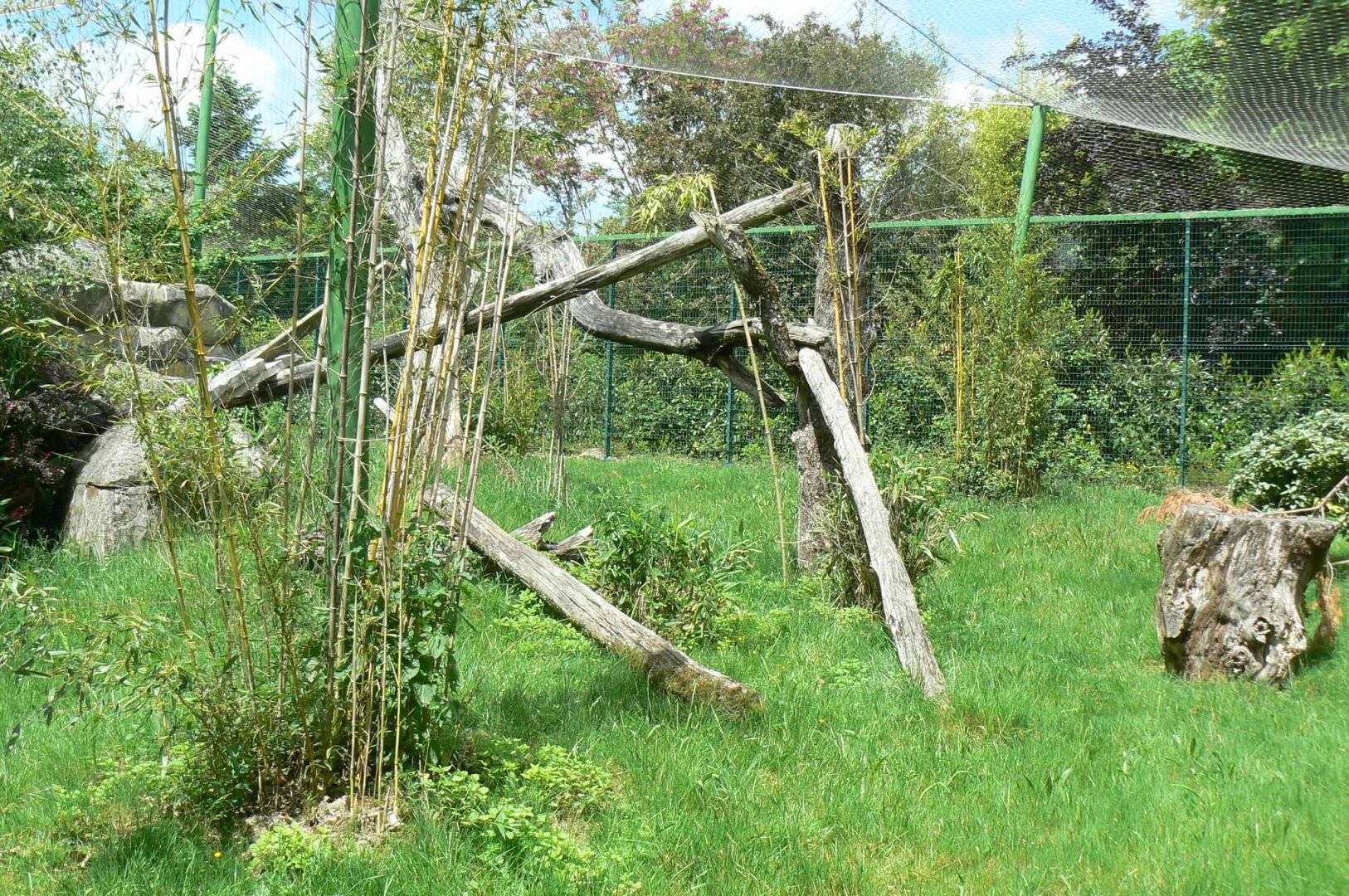 Le Pal - Sri Lankan leopards enclosure